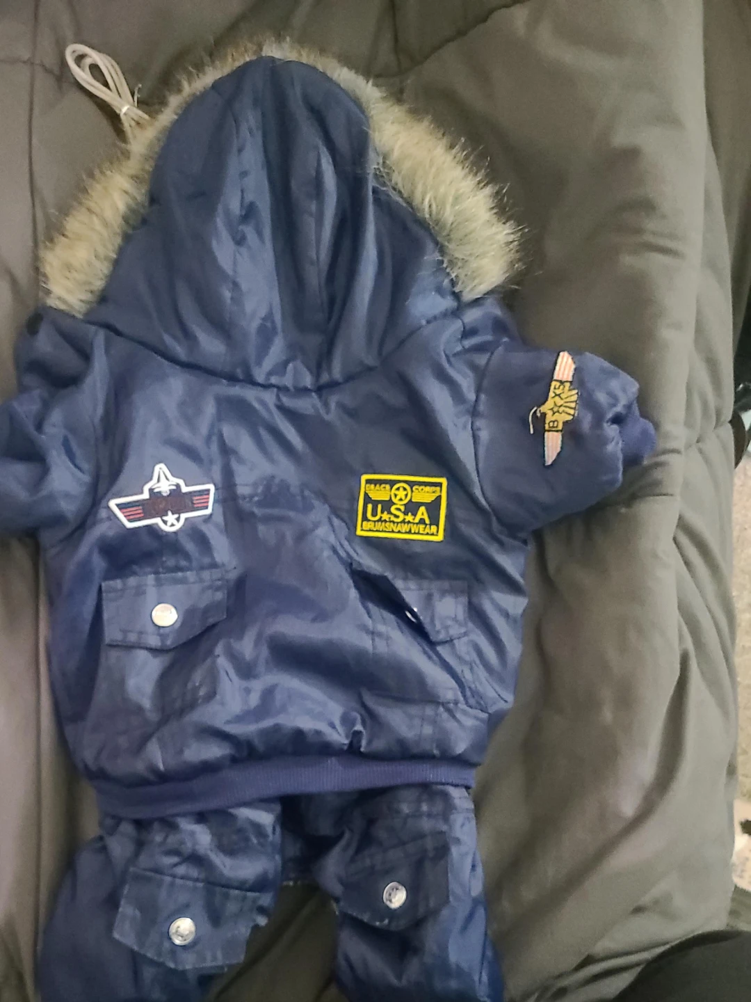 Blue hooded dog winter jacket and dog sweaters