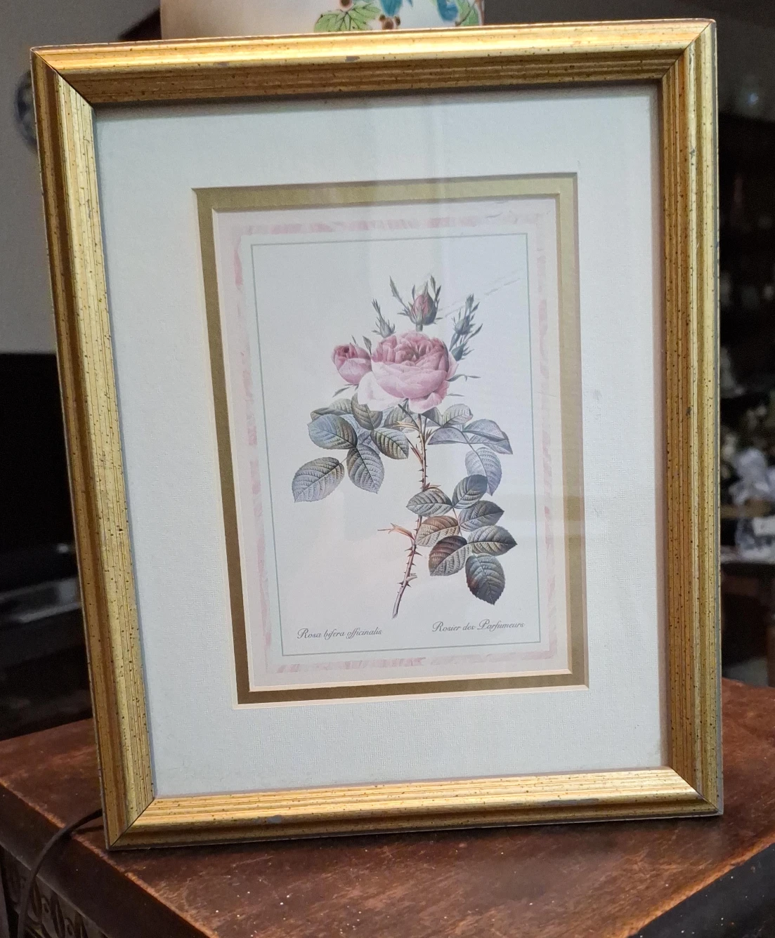 Framed Rose Print
