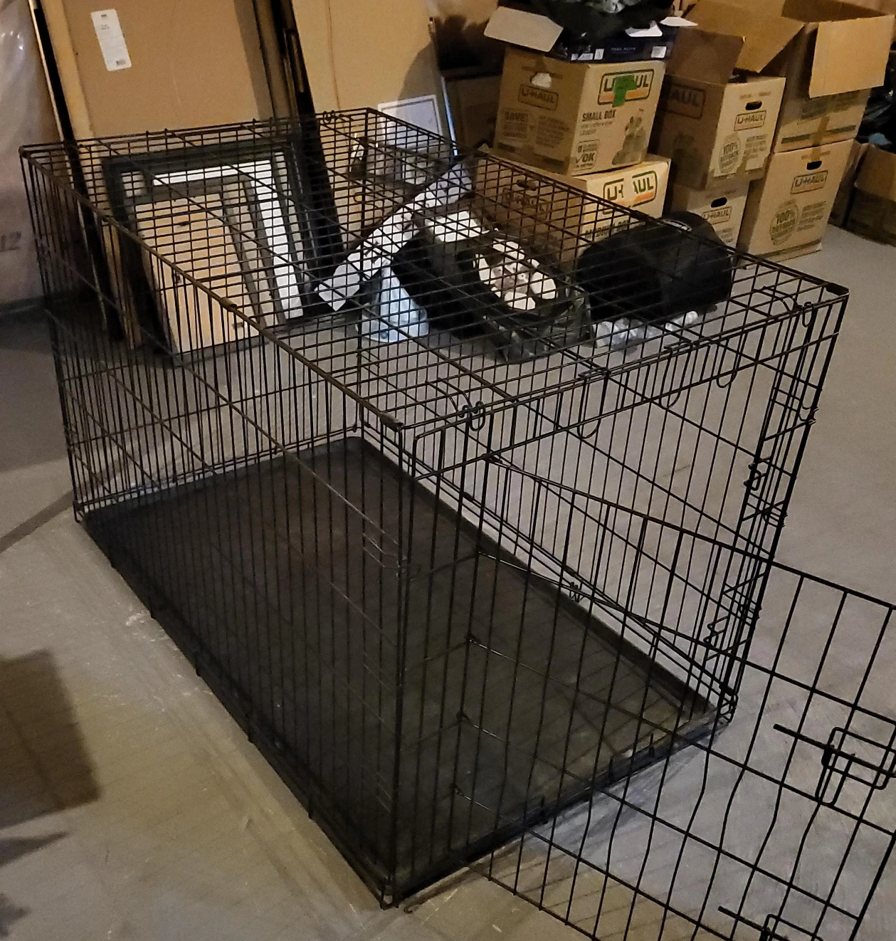 Large Black Wire Dog Crate