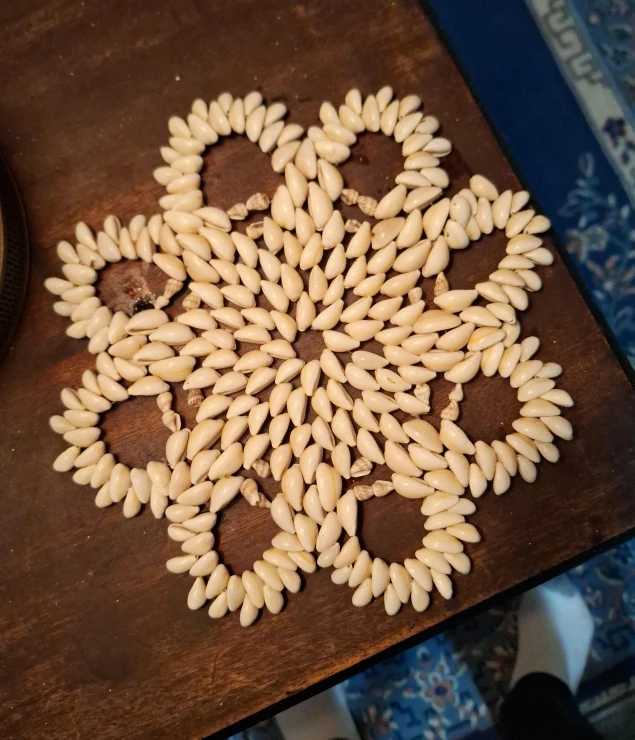 Handmade Decorative Seashell Coaster