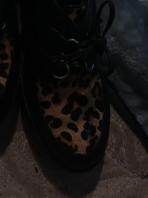 Leopard Print Shoe