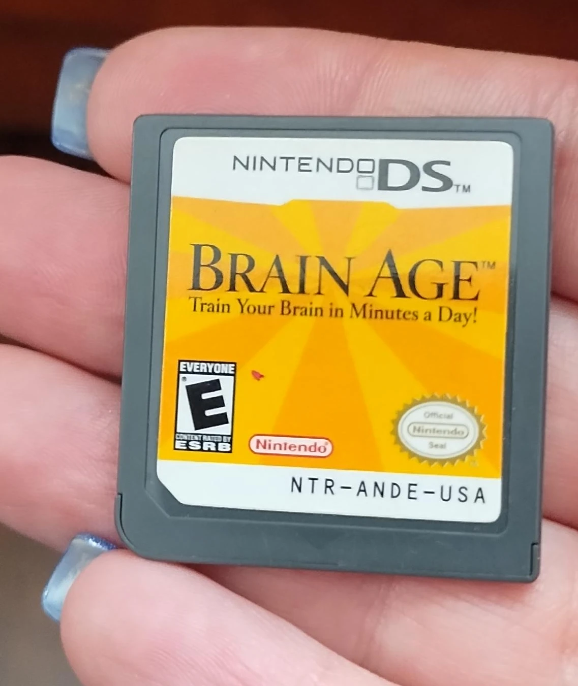 Nintendo DS Brain Age Game