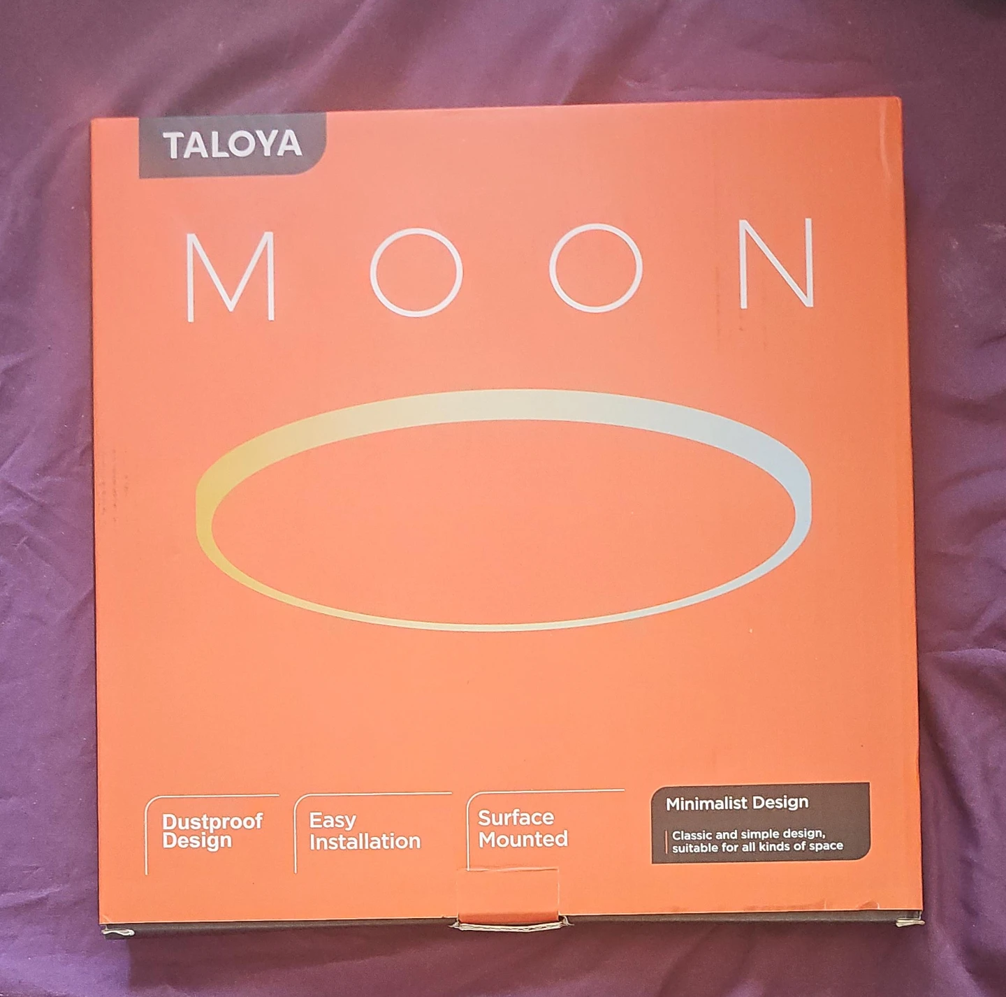 TALOYA Moon Surface Mounted Light