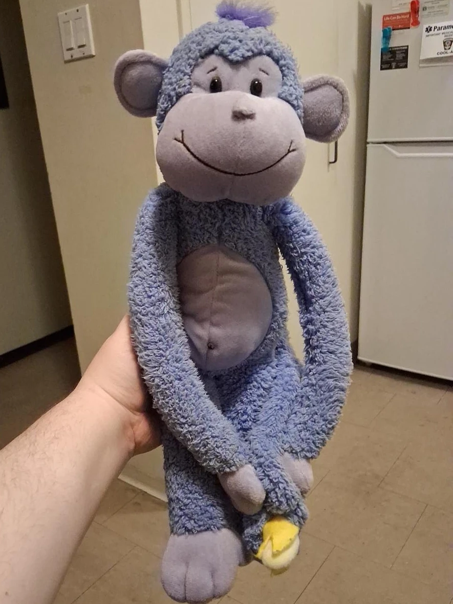 Blue Purple Stuffed Monkey Plush Toy from Canada's Wonderland