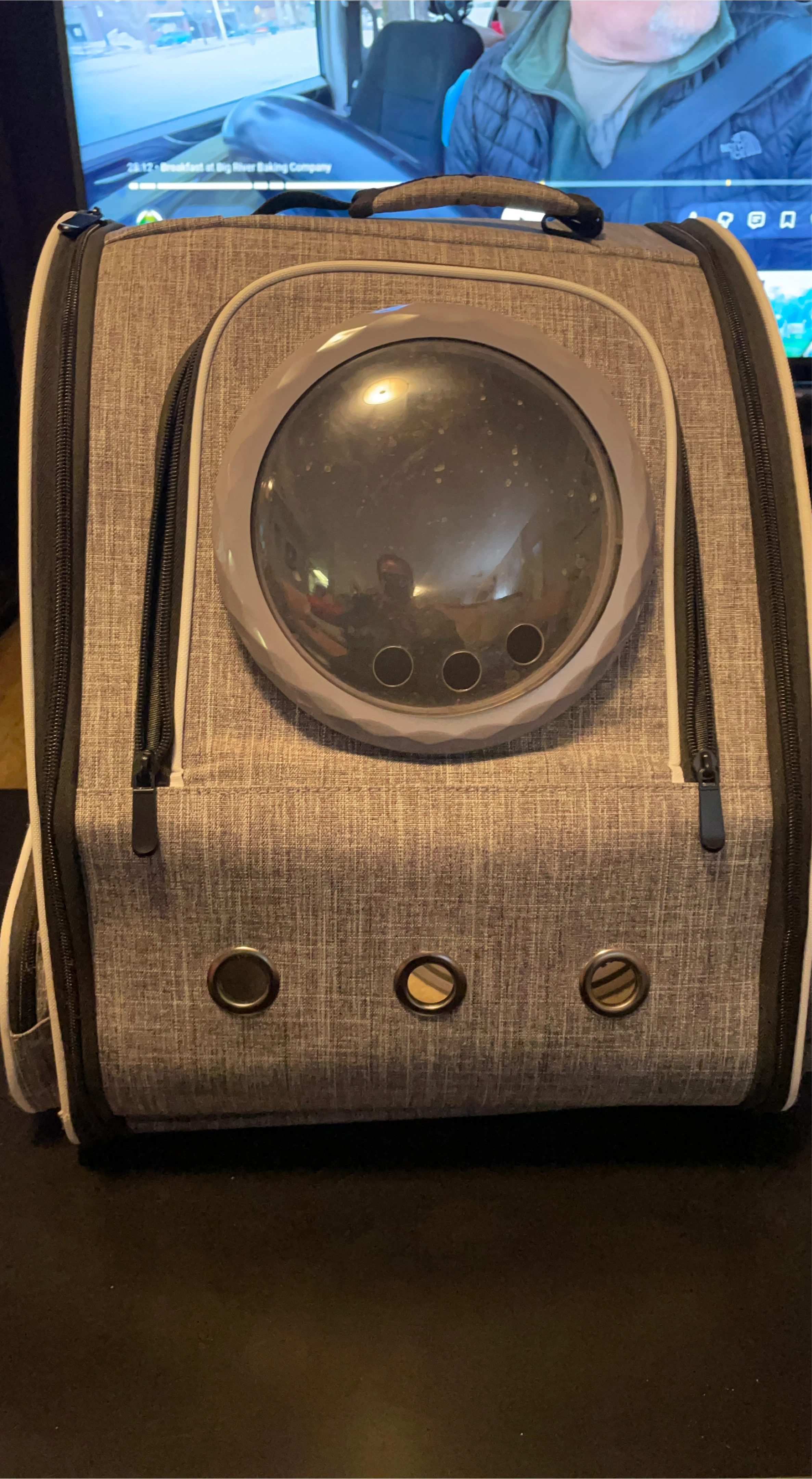 Pet Carrier Backpack - Grey