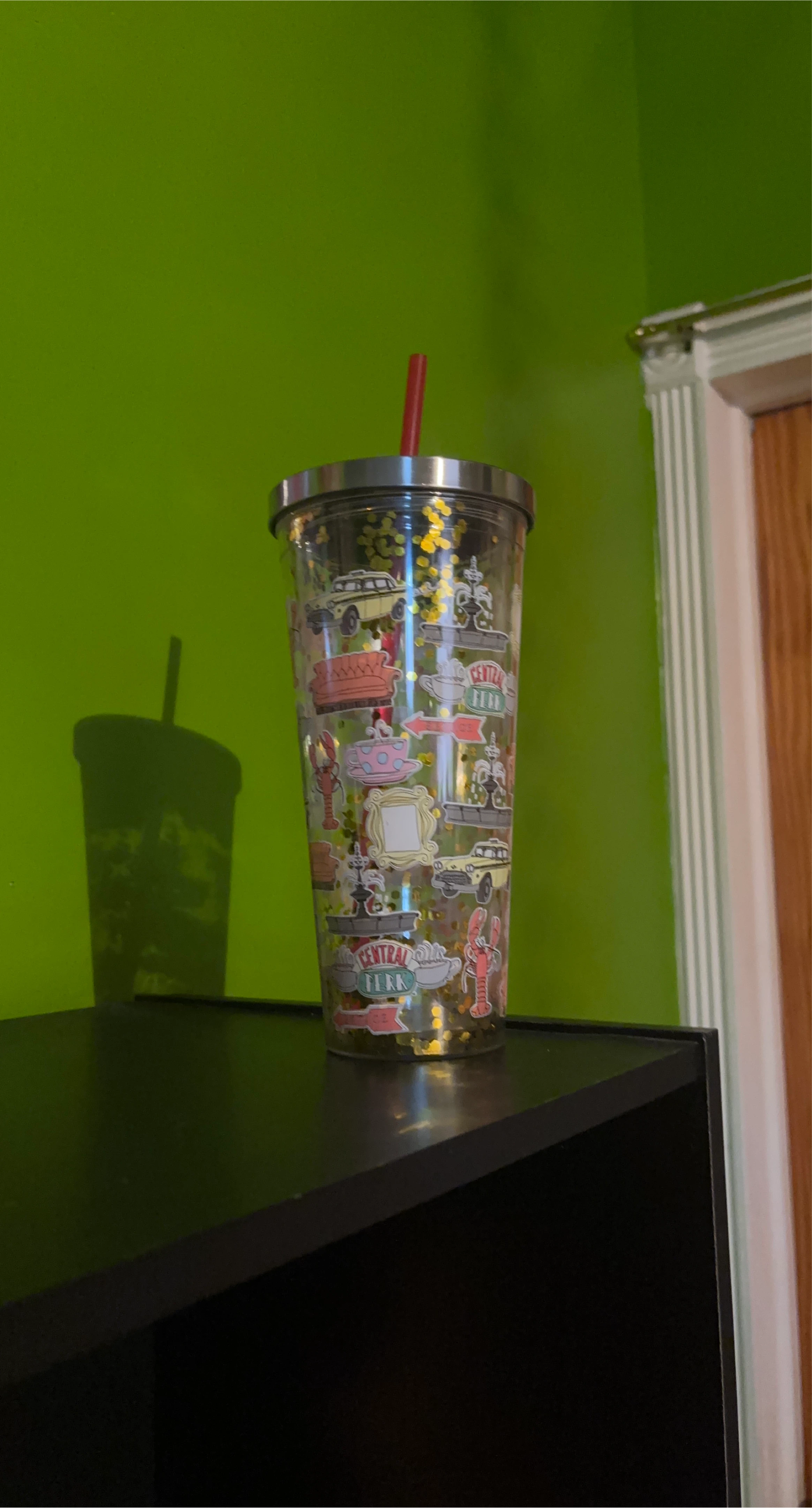 Friends TV Show Tumbler Cup with Straw