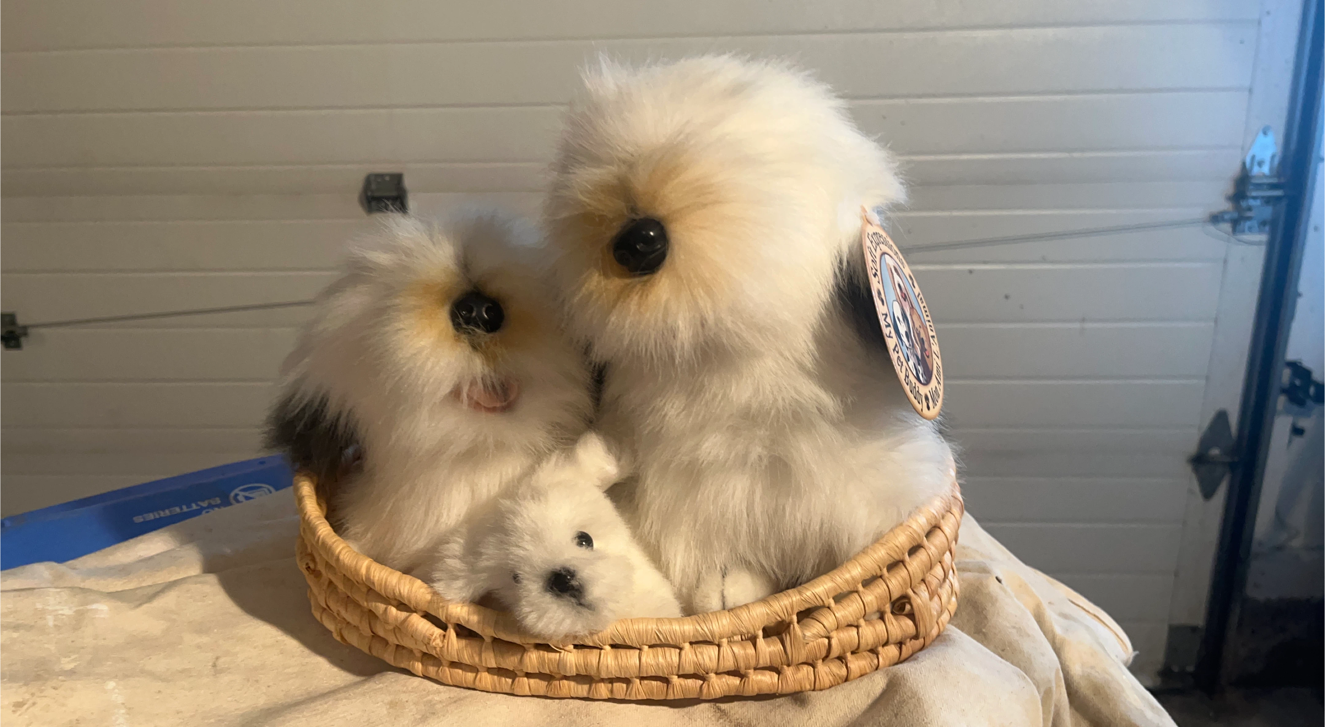 My Mini Animal Soft Expression Pet Buddy Plush Toy