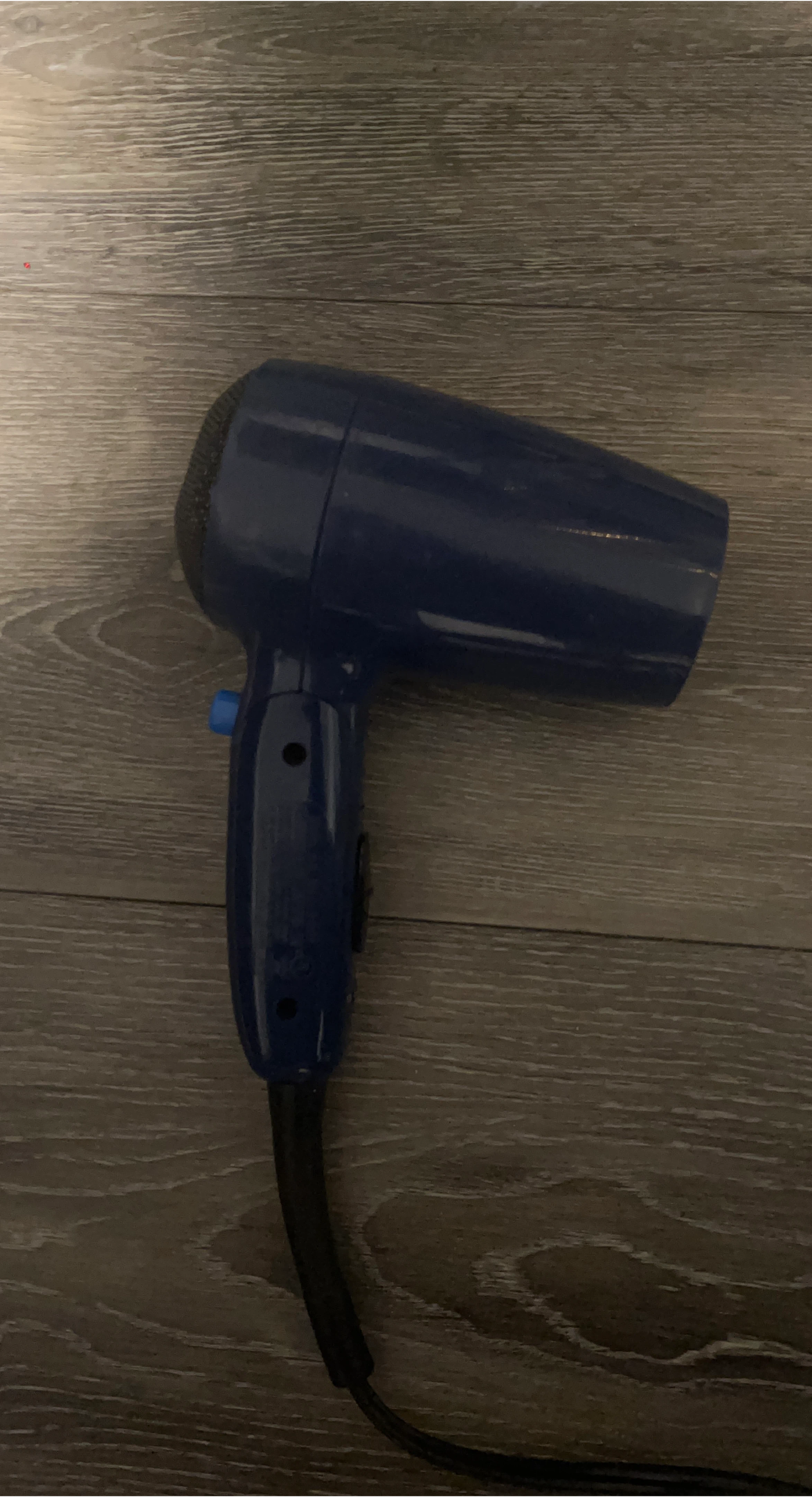 Blue Hair Dryer