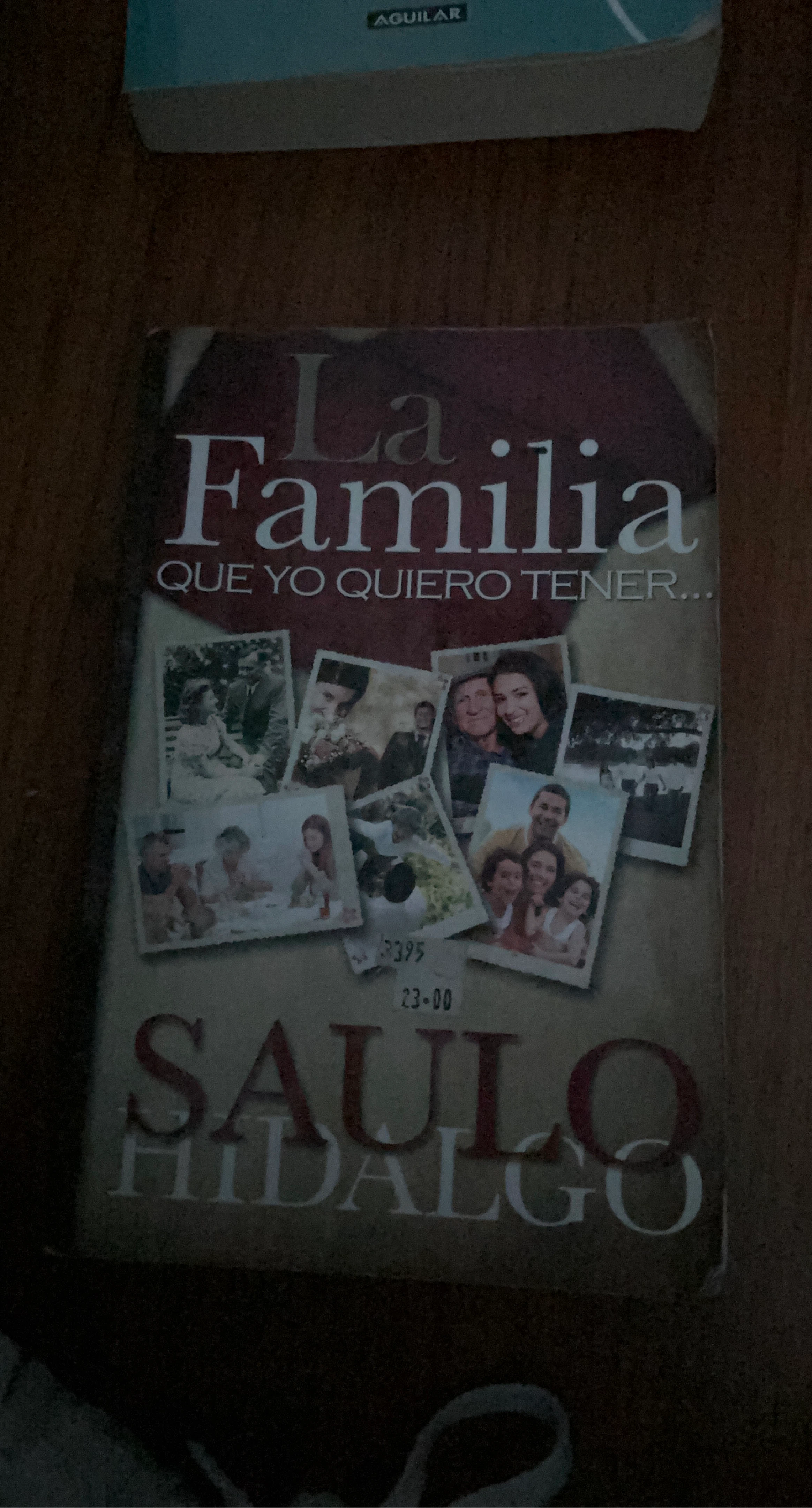 La Familia Que Yo Quiero Tener by Saulo Hidalgo
