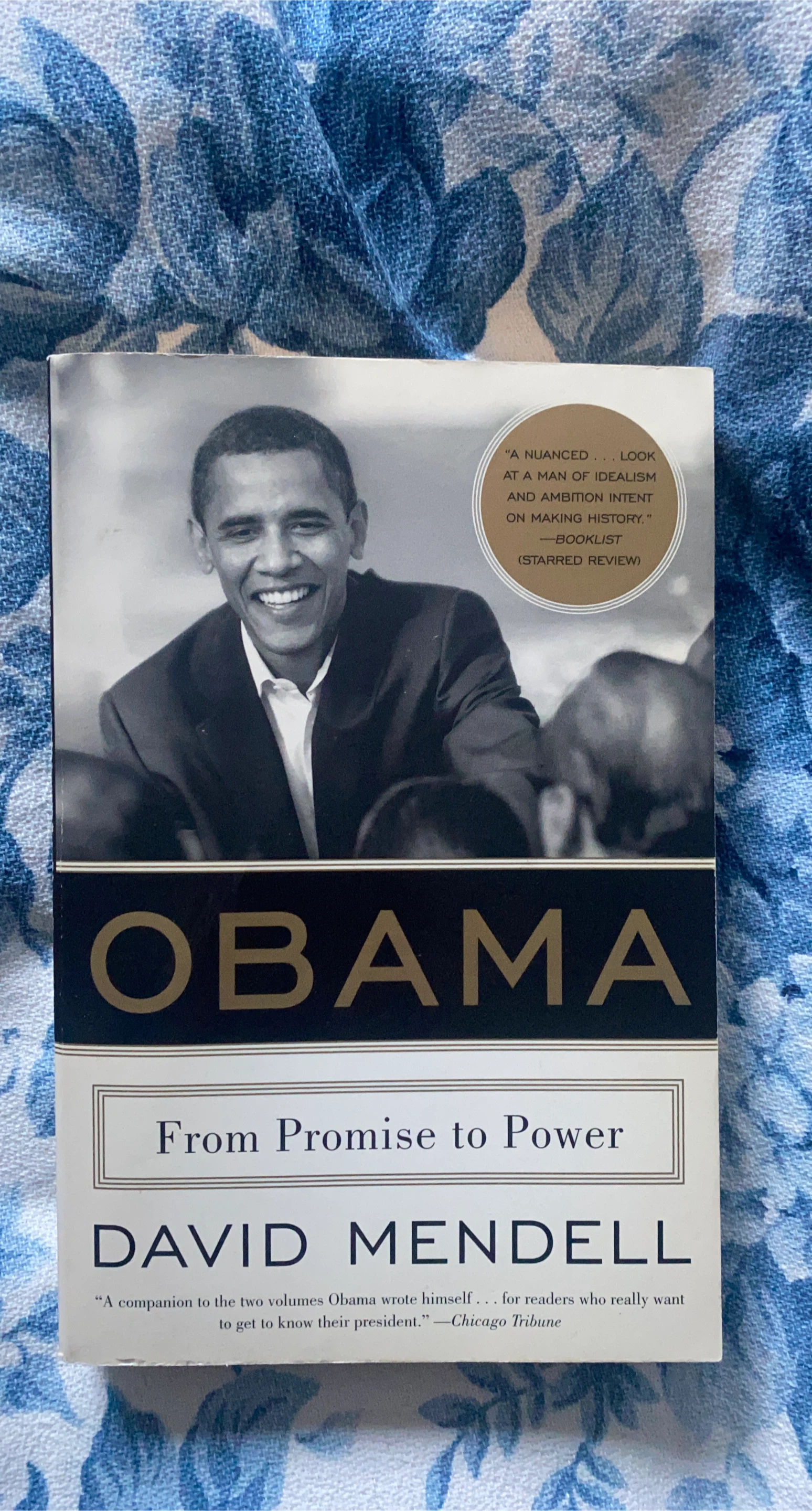 Obama: From Promise to Power by David Mendell
