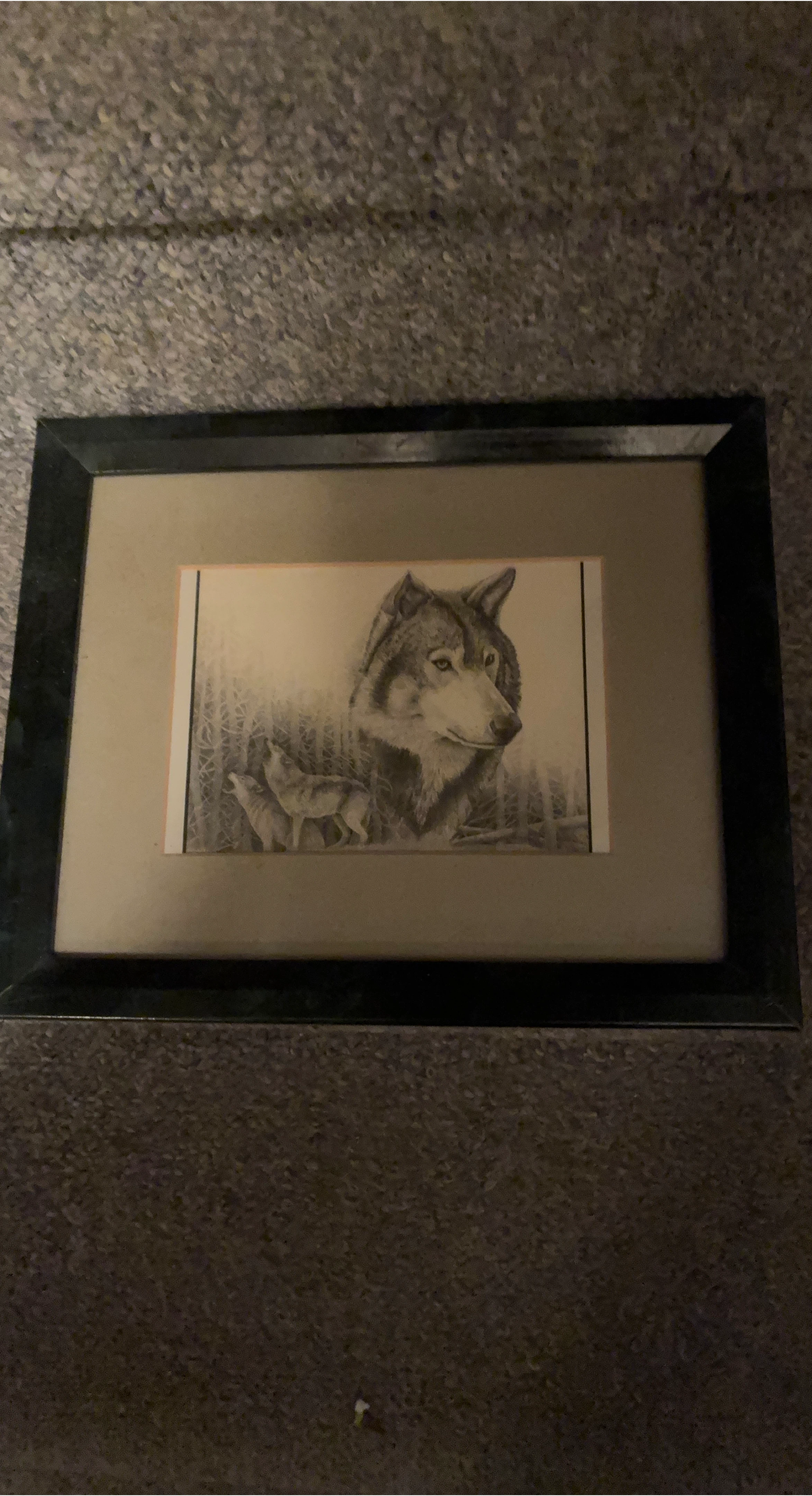 Framed Wolf Print