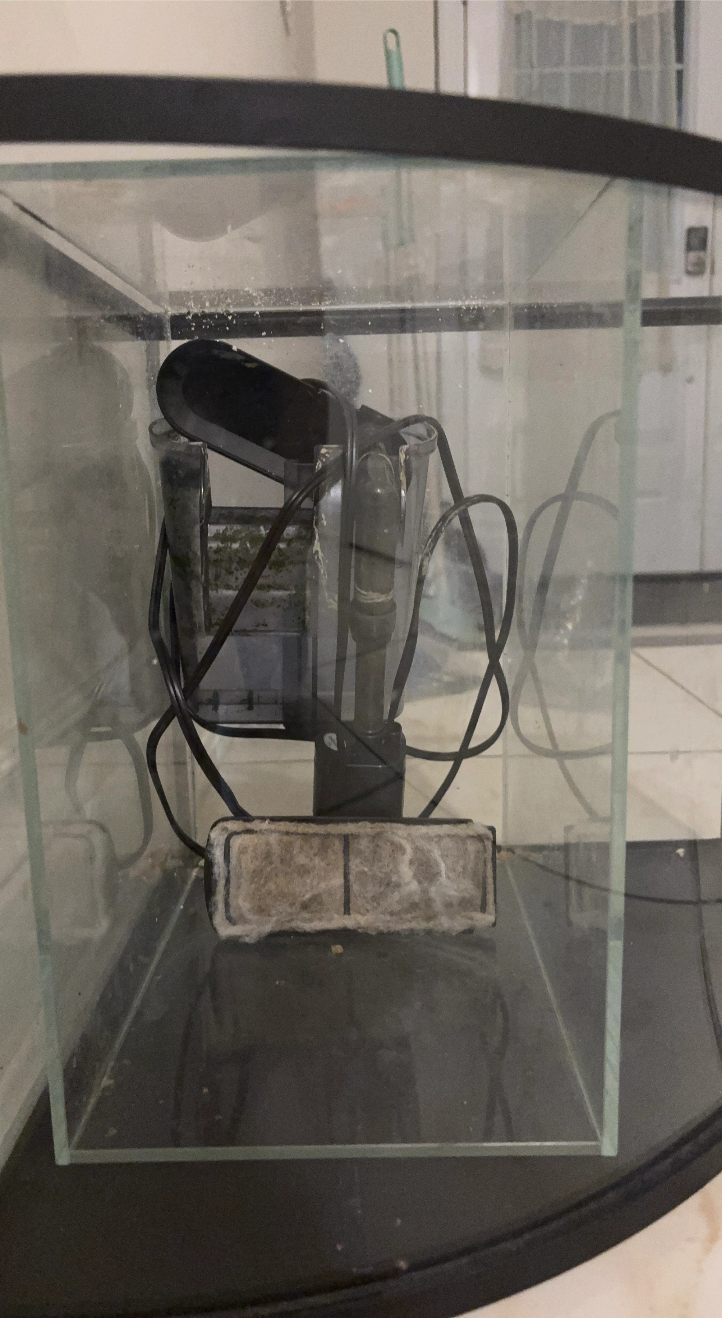 Used Aquarium Filter