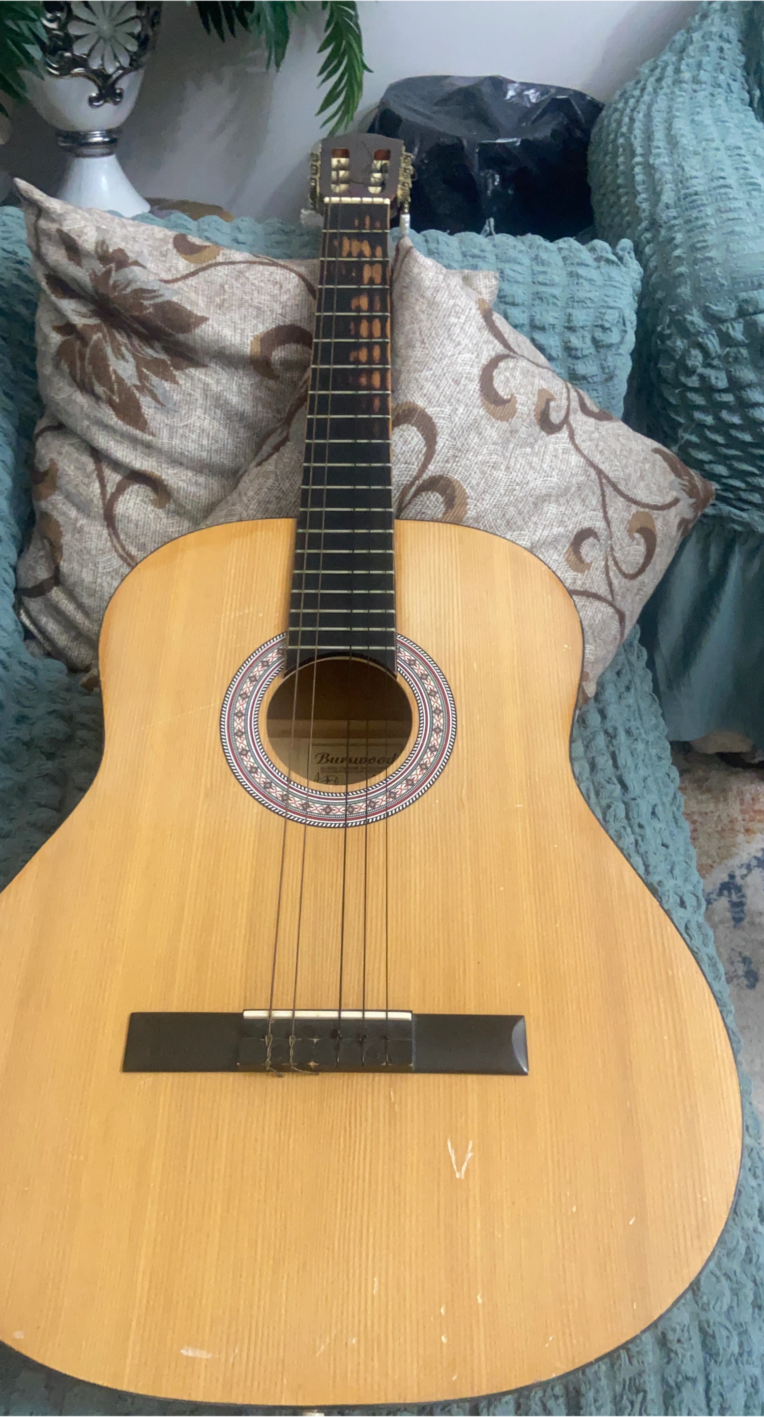Burwood Acoustic Guitar