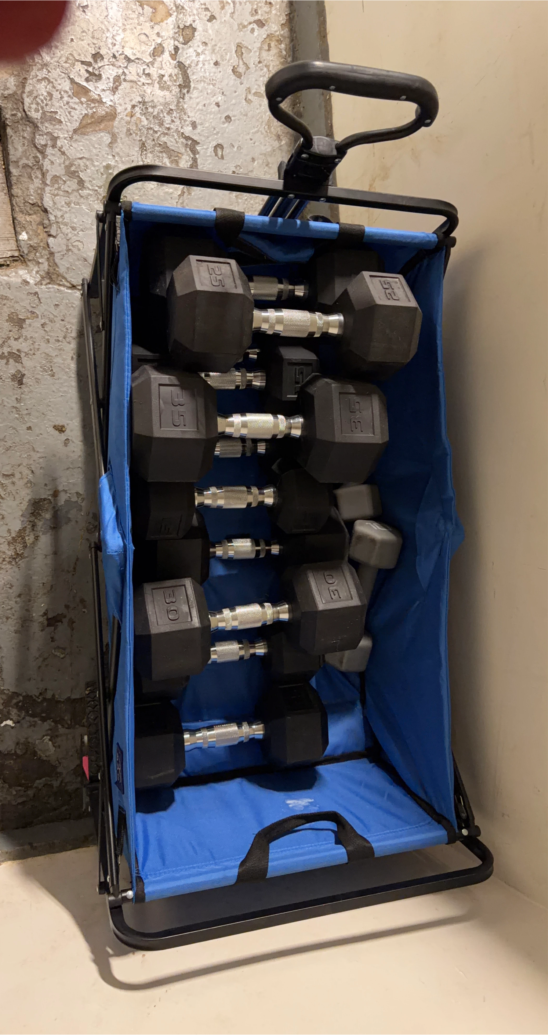 Dumbbell Set with Rack - 25lb & 30lb Weights