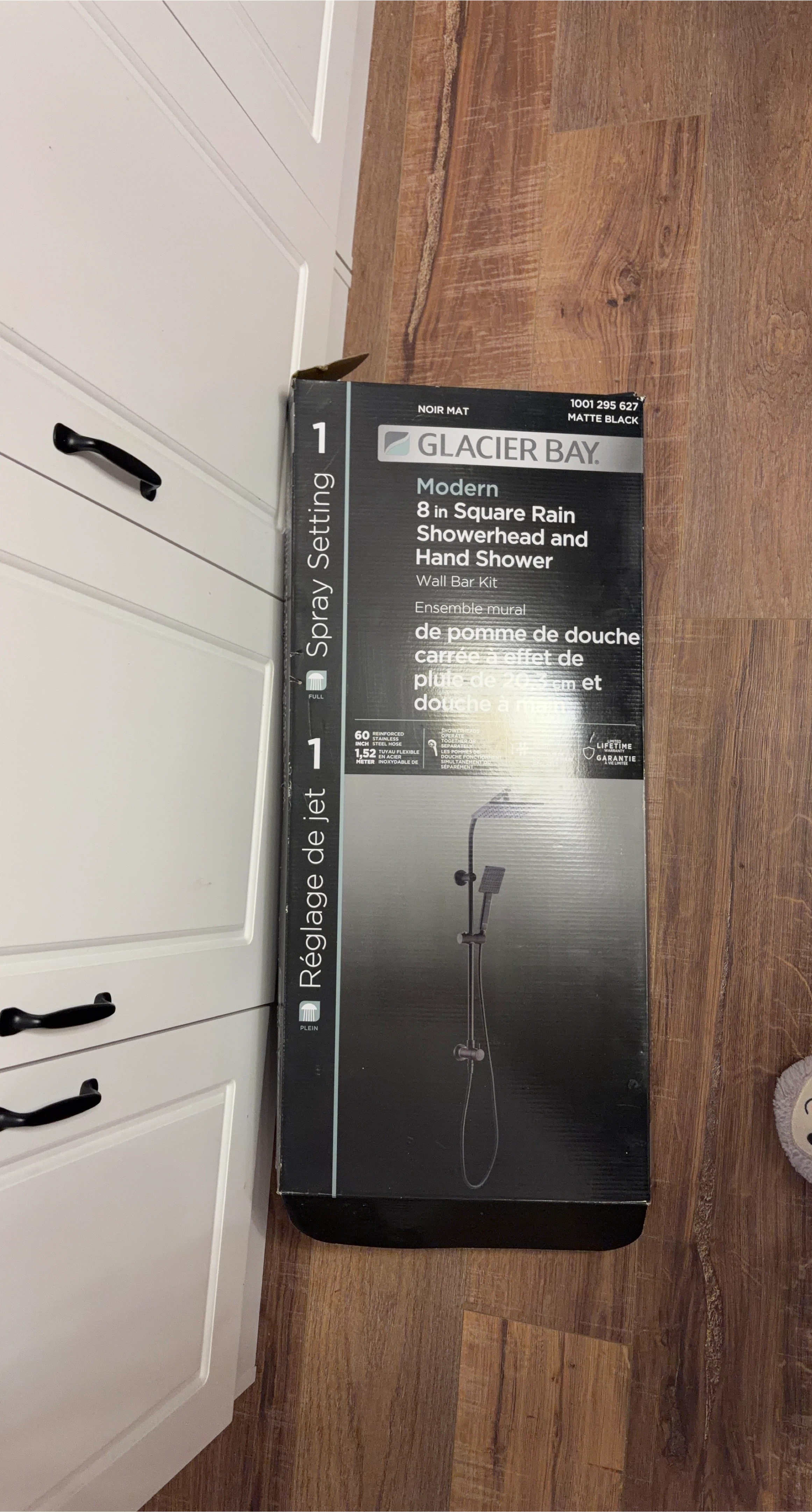 Glacier Bay Modern Rain Showerhead & Hand Shower