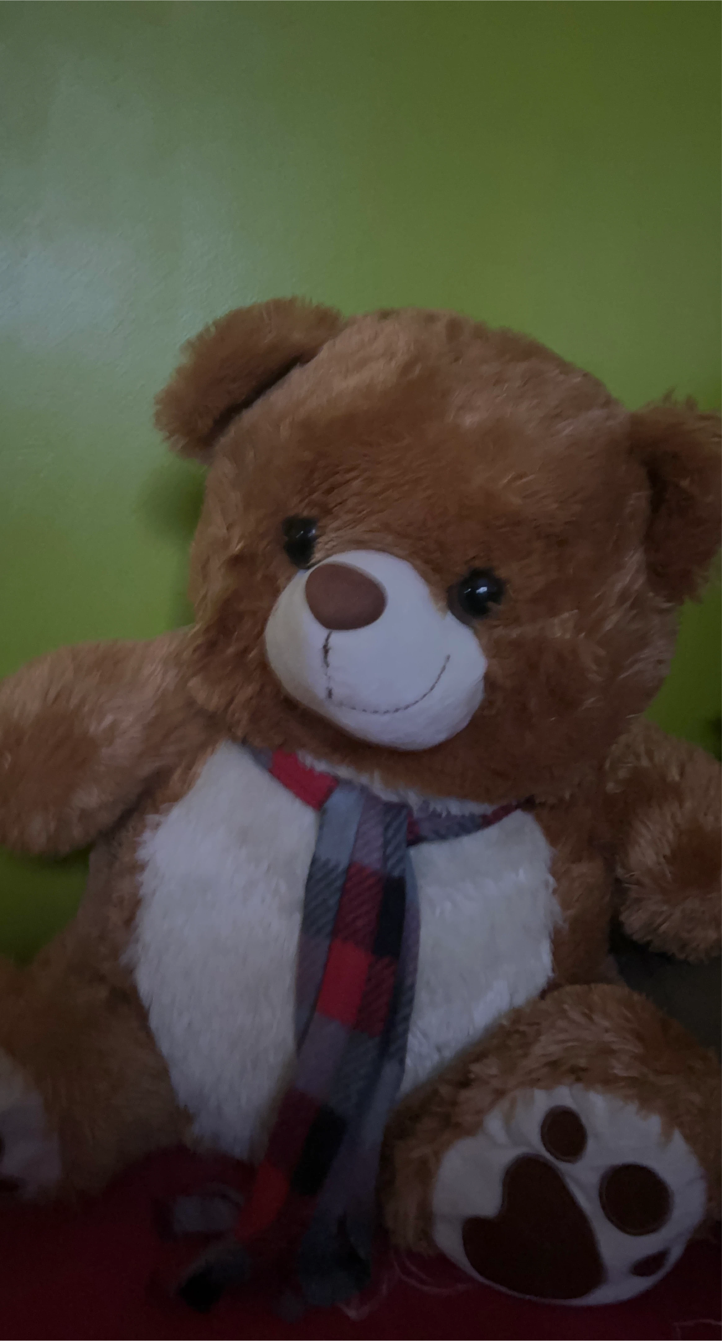Brown Teddy Bear with Scarf