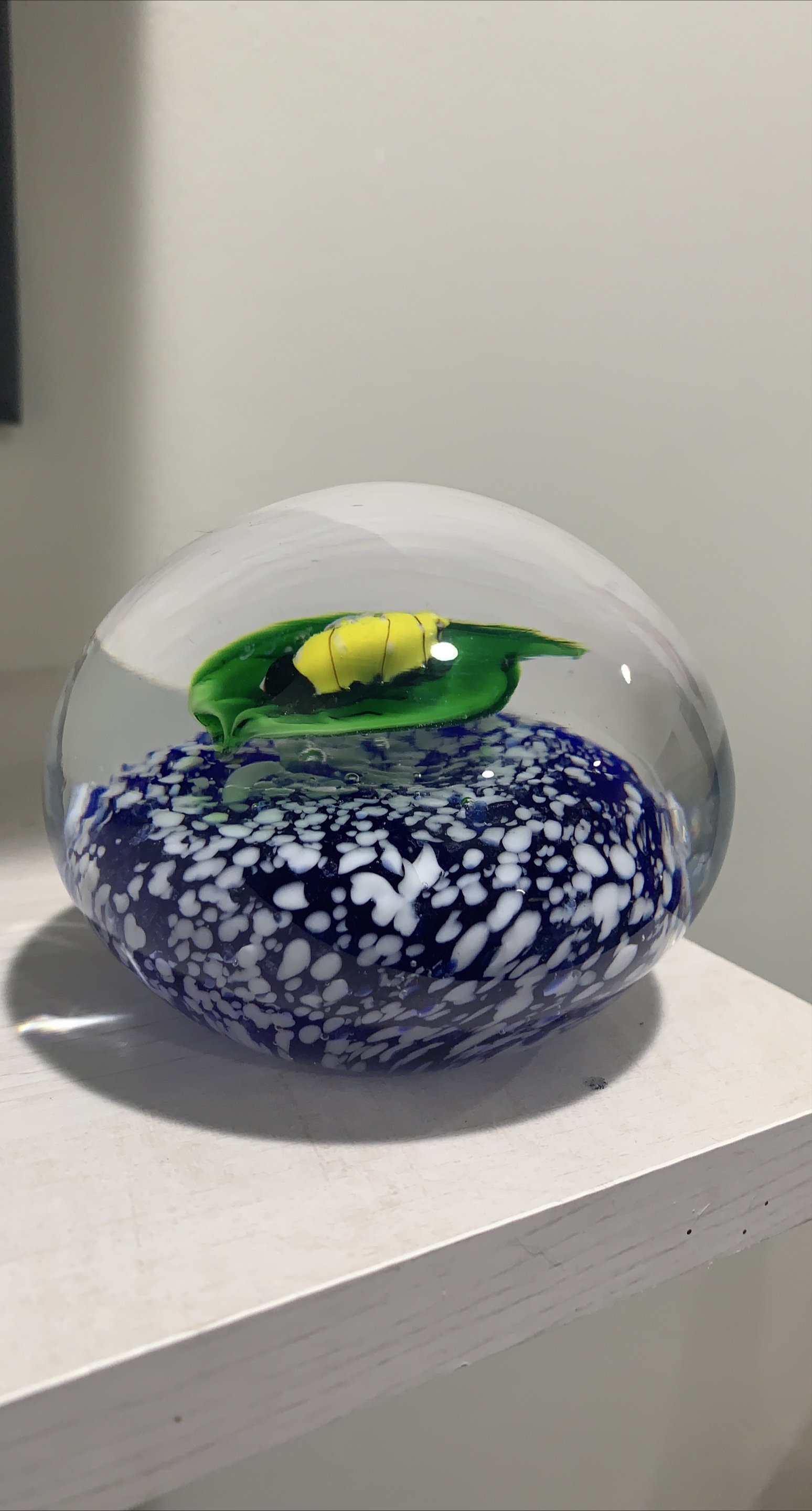 Gorgeous Designs Glass Paperweight