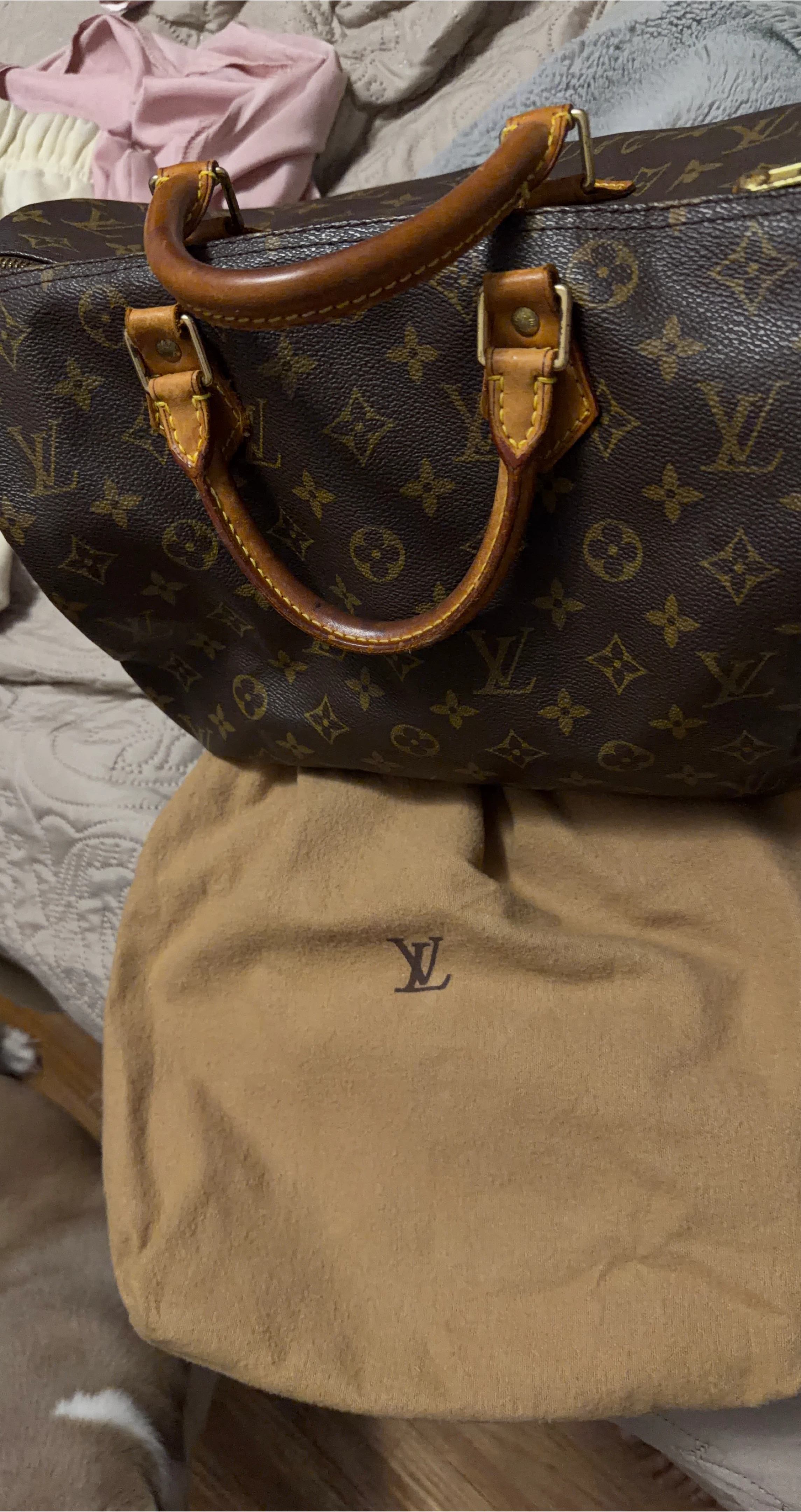 Louis Vuitton Speedy Handbag