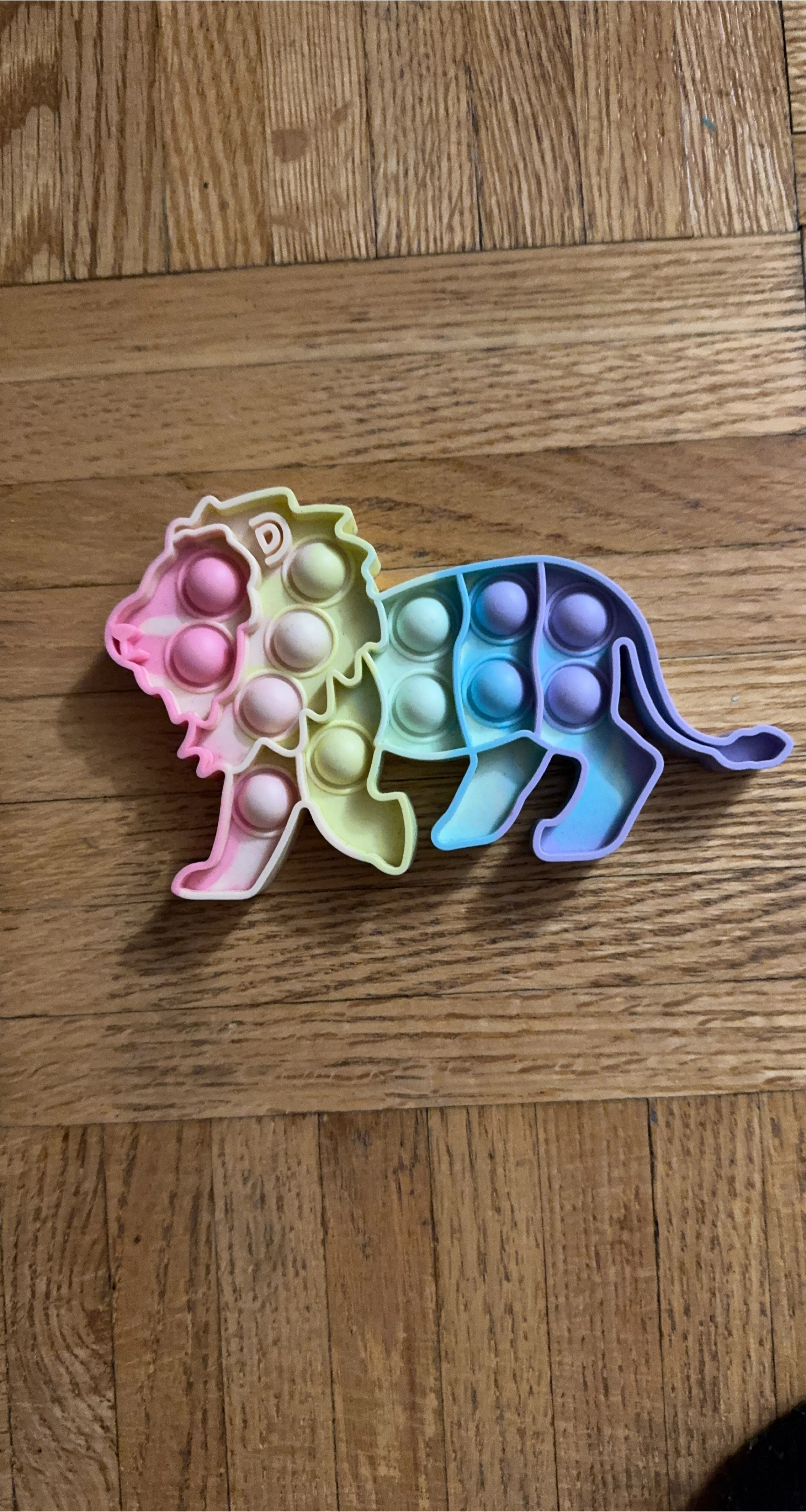 Lion Pop It Fidget Toy