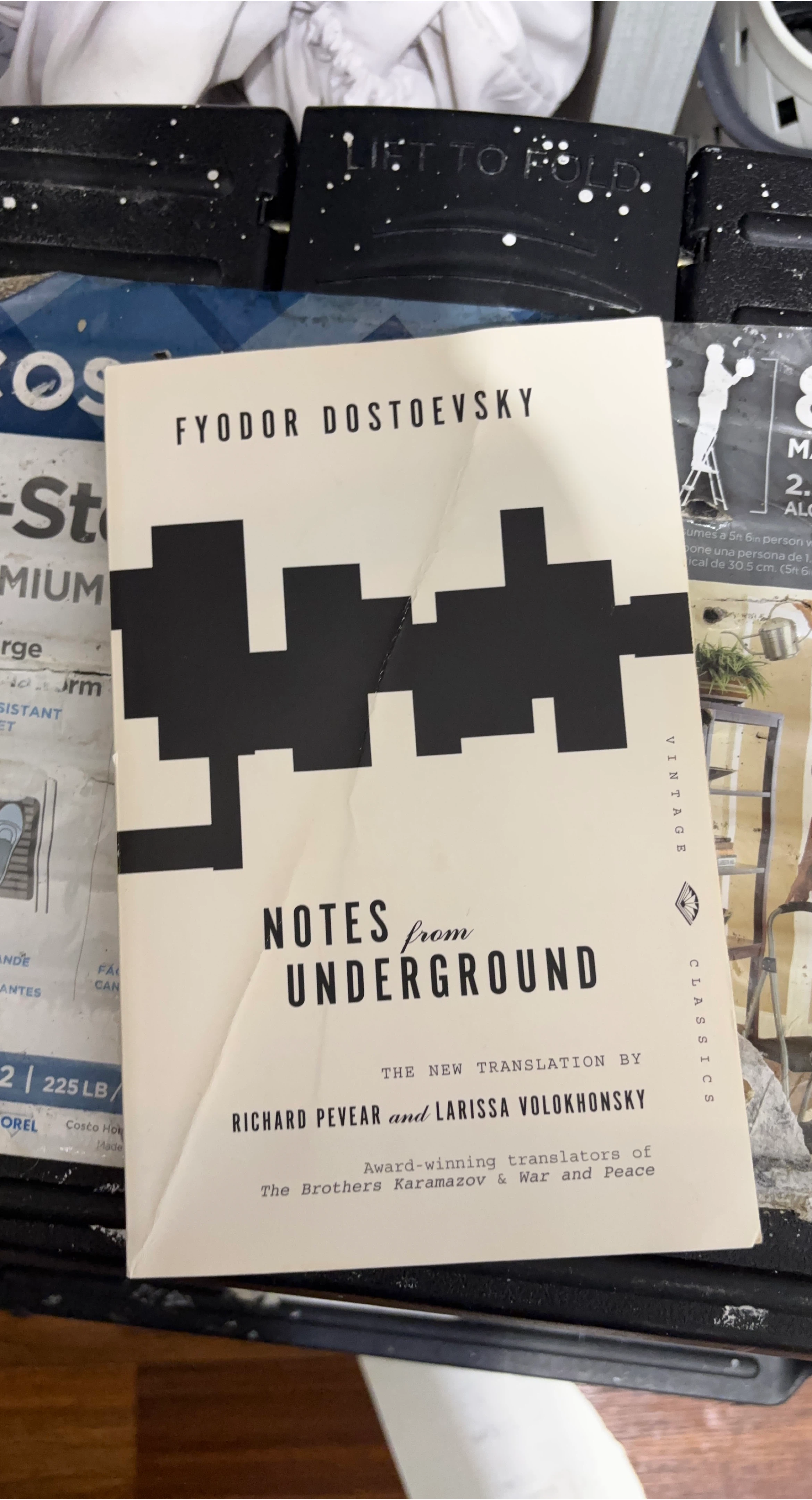 Notes from Underground by Fyodor Dostoevsky