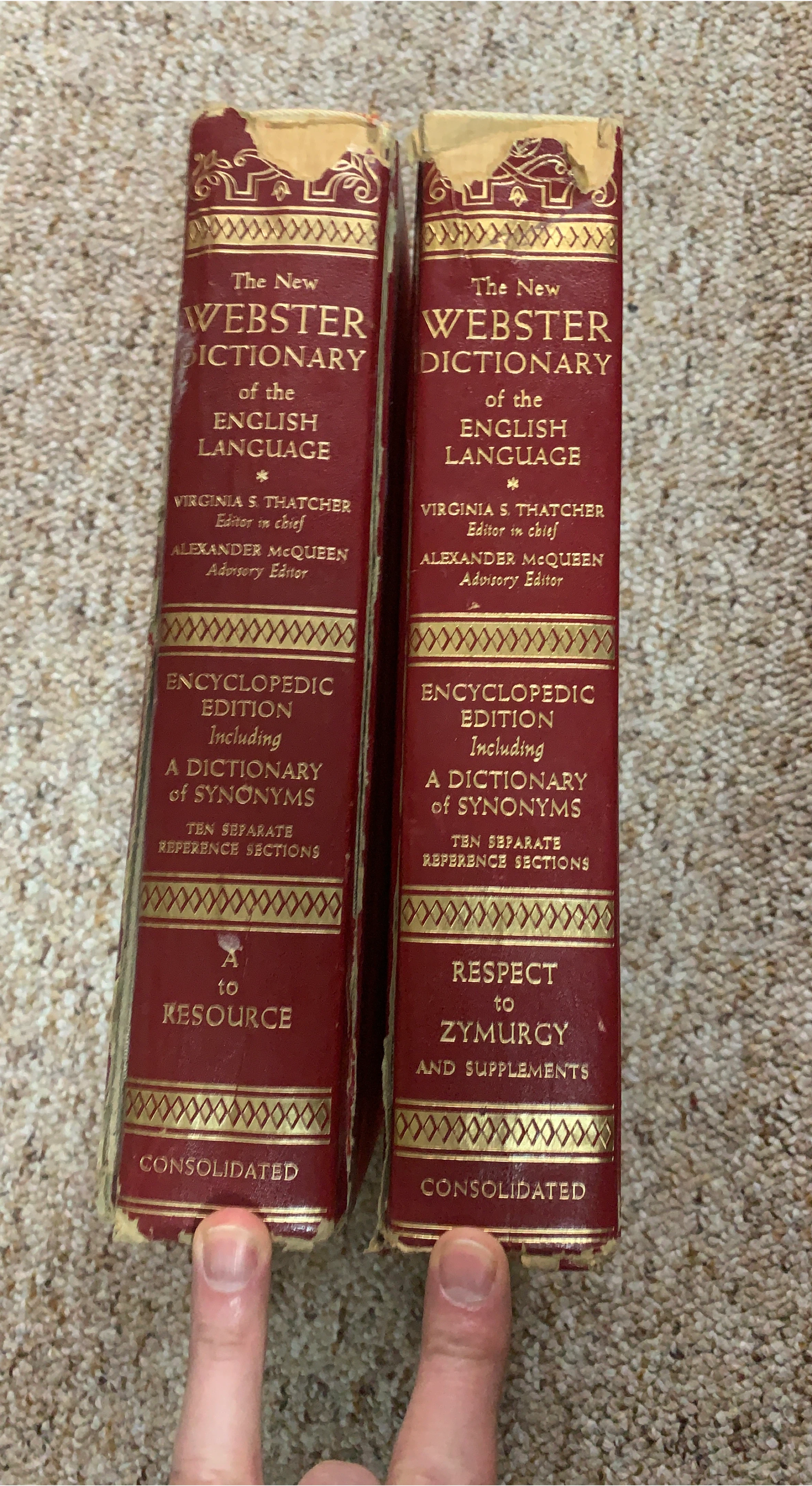 The New Webster Dictionary Set