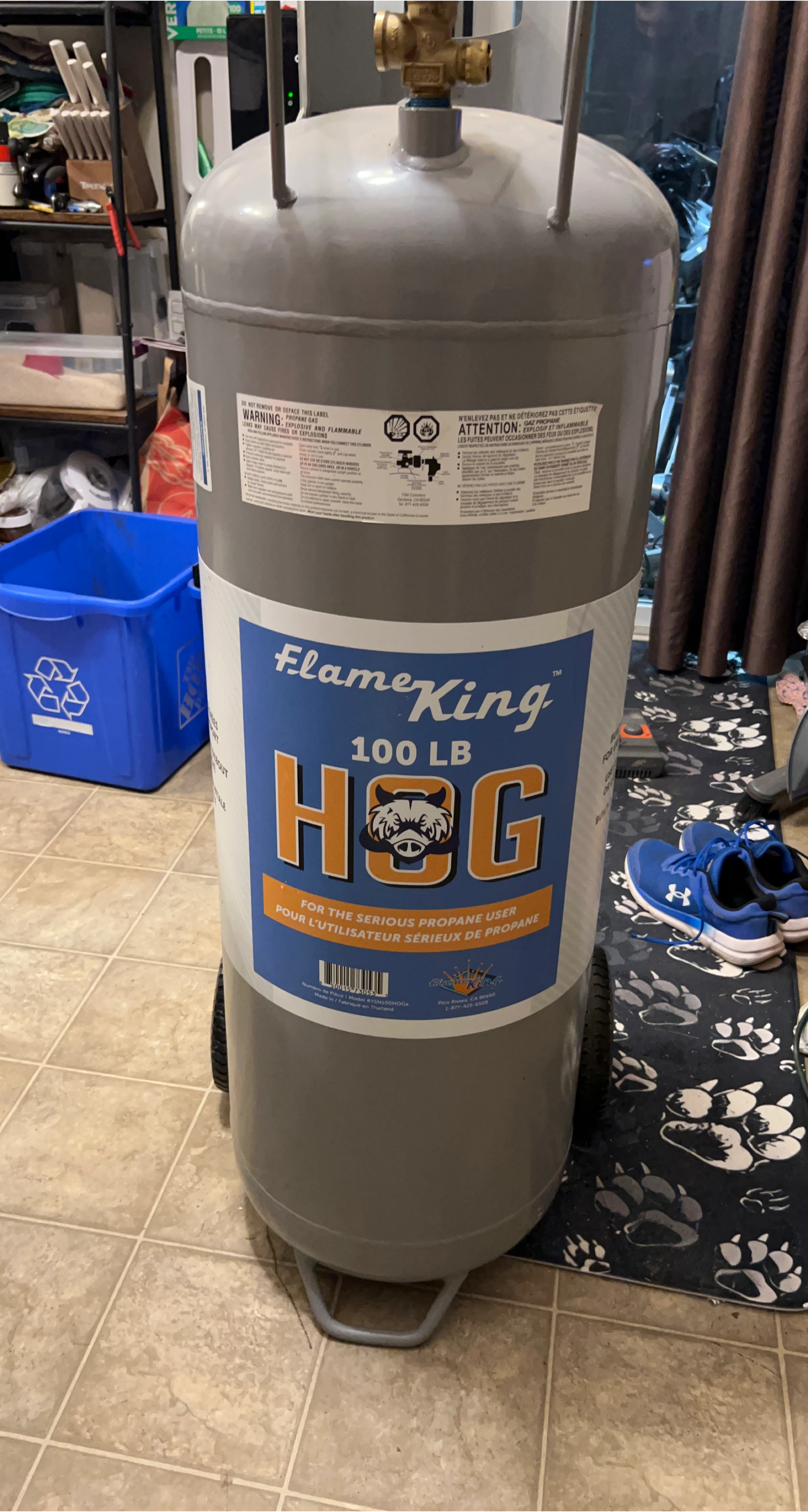 Flame King 100 LB HOG Propane Tank