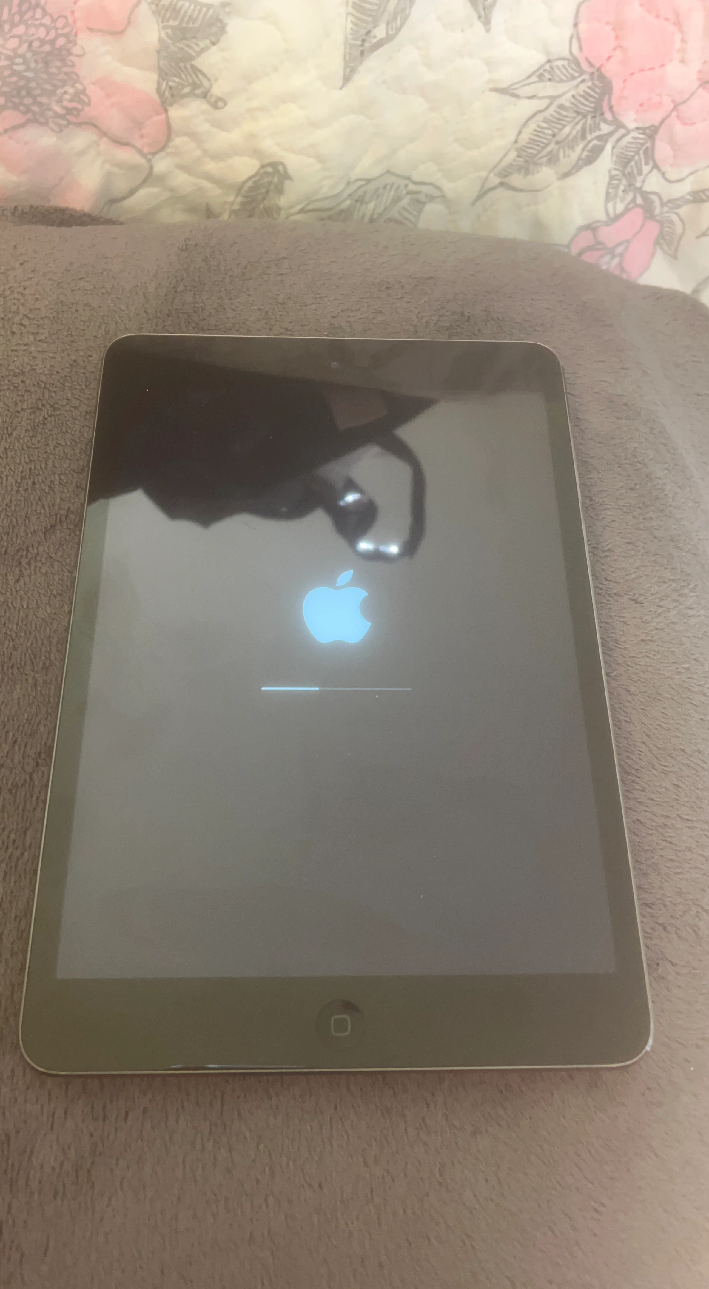 Apple iPad mini2