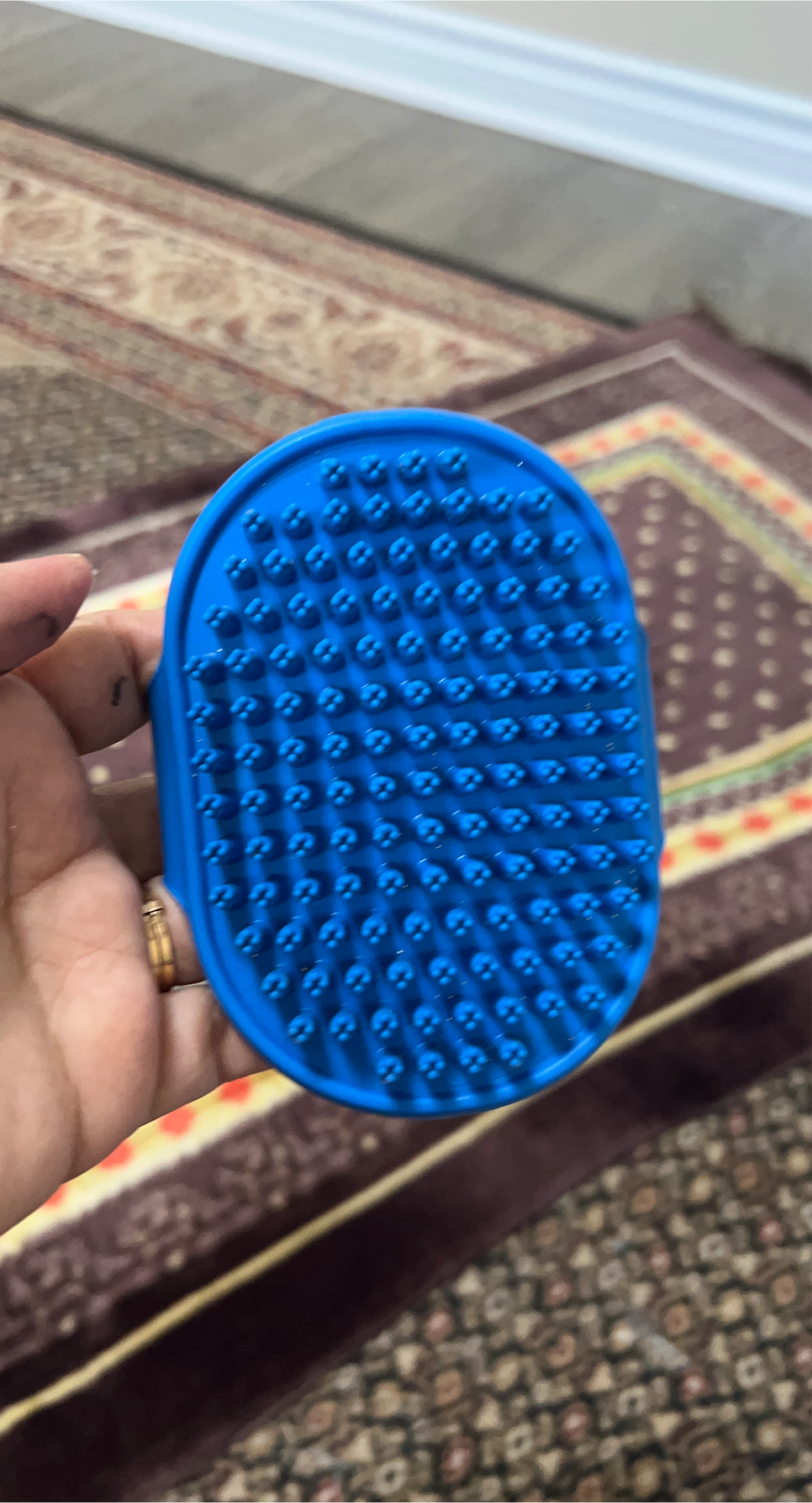 Blue Pet Grooming Brush