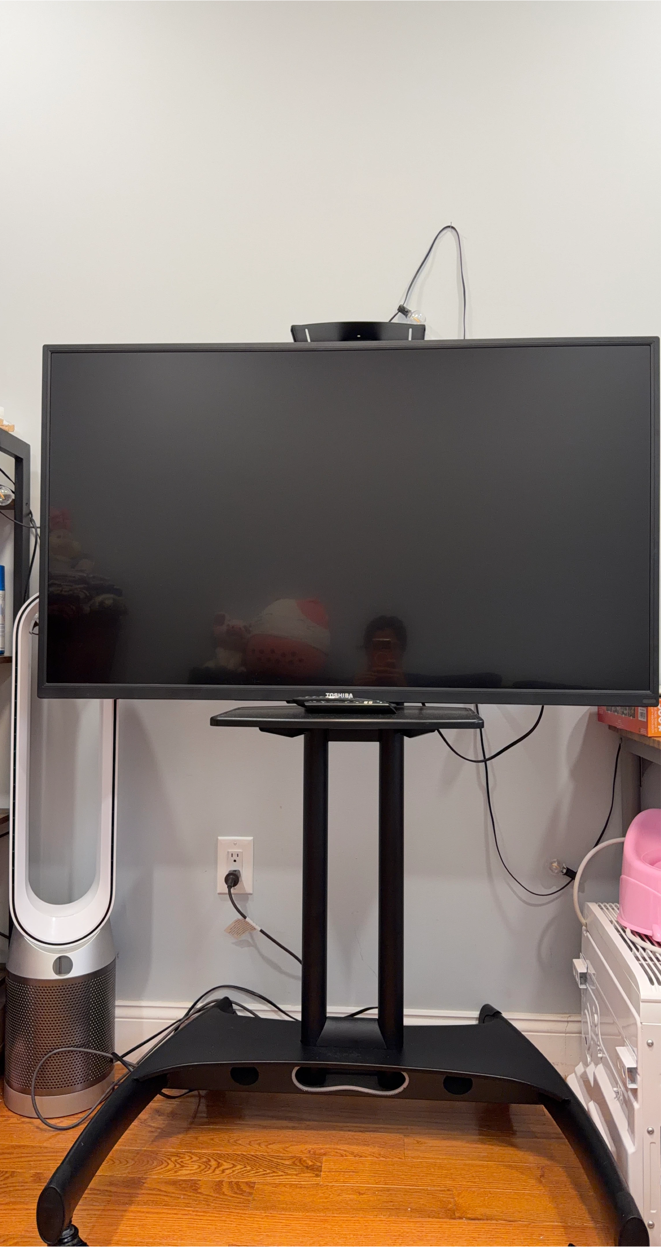 Toshiba TV on Rolling Stand