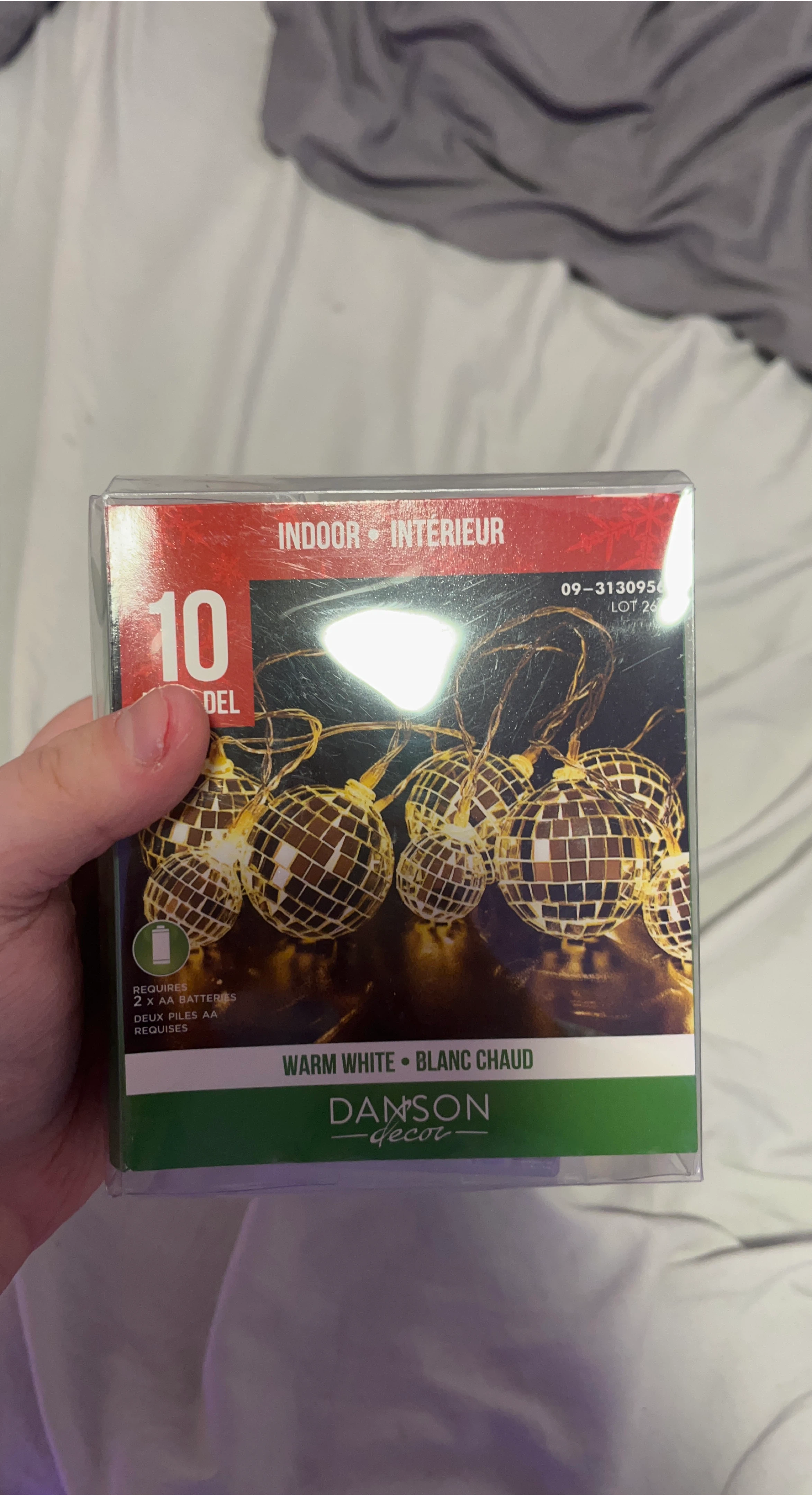 Danson Decor 10ct Warm White Indoor String Lights