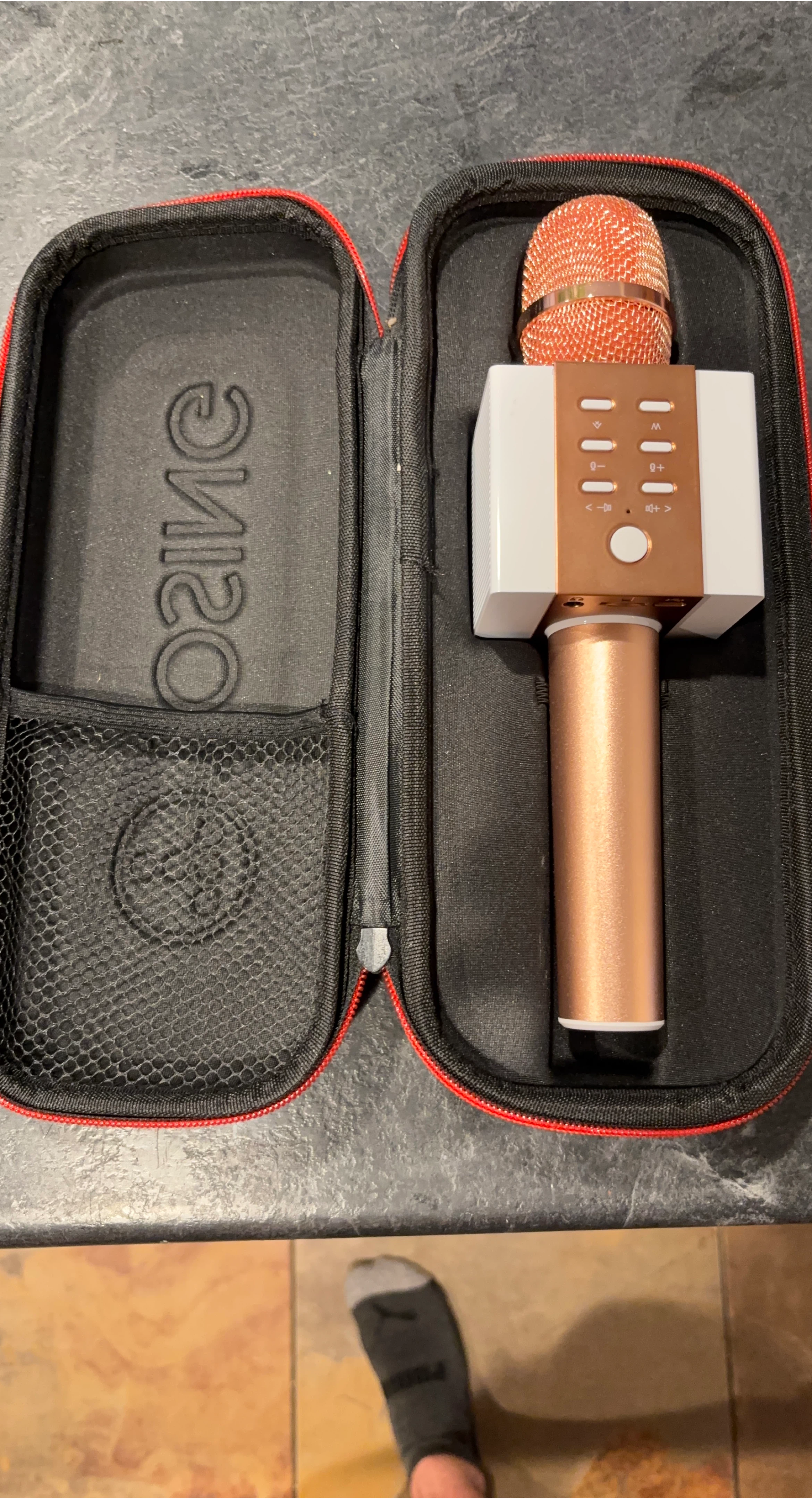 Karaoke Microphone with Case