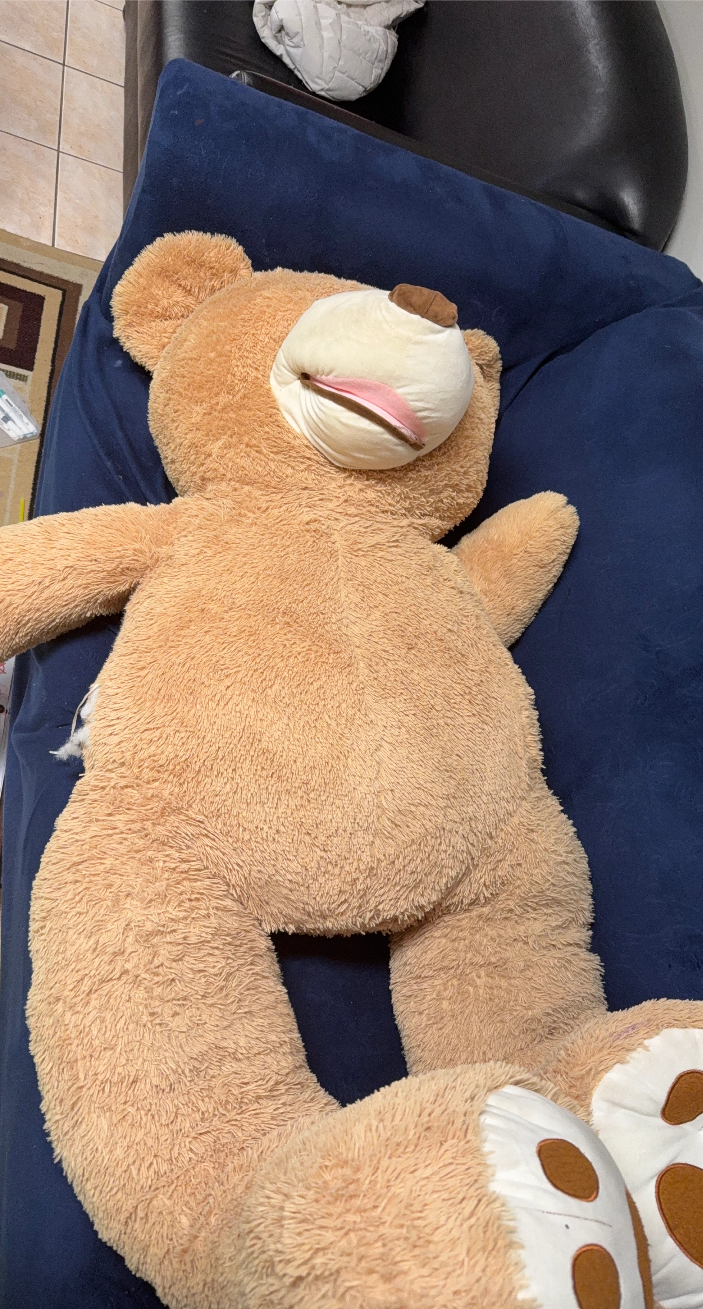 Large Plush Teddy Bear