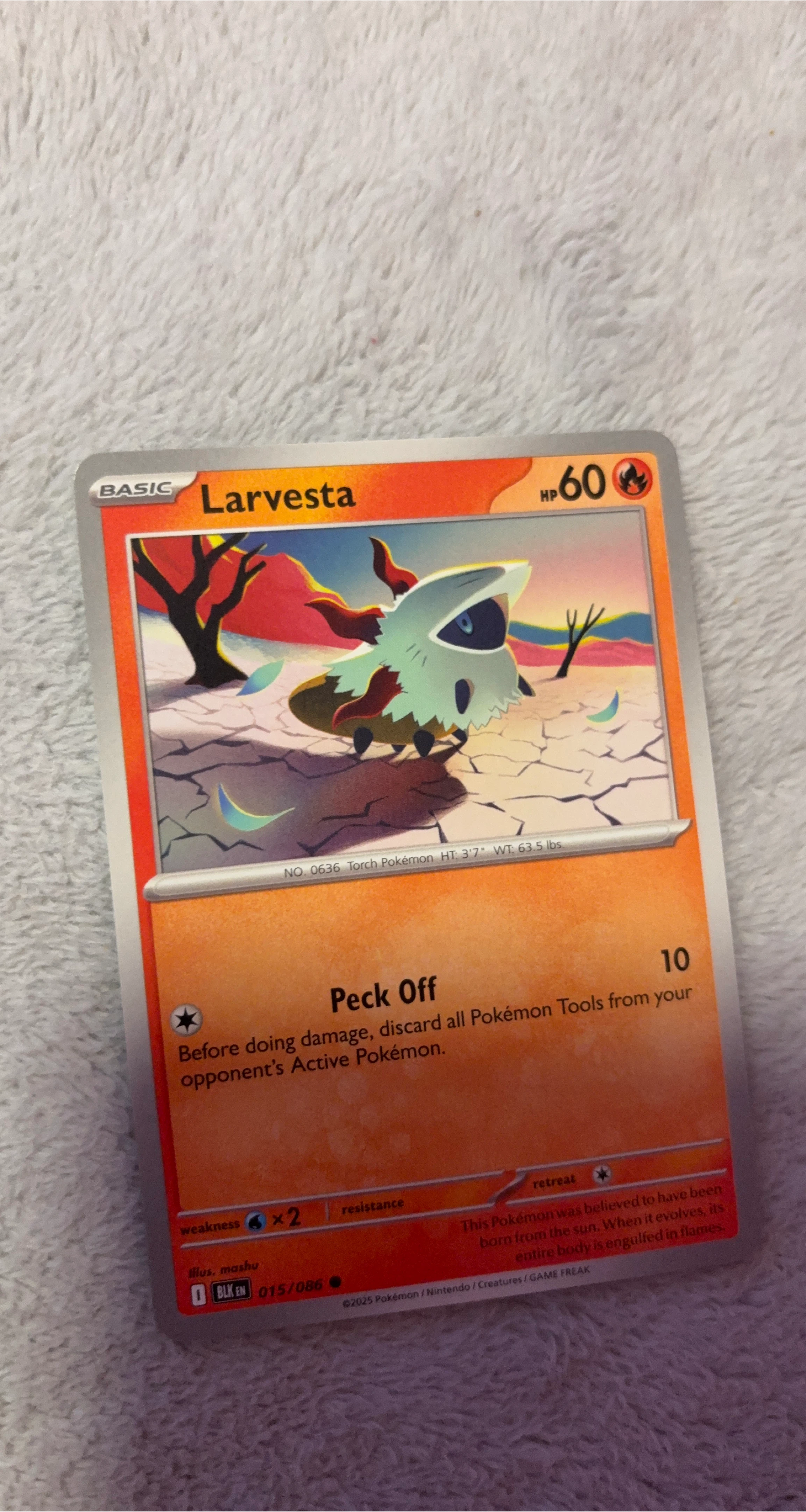 Larvesta Pokémon Card