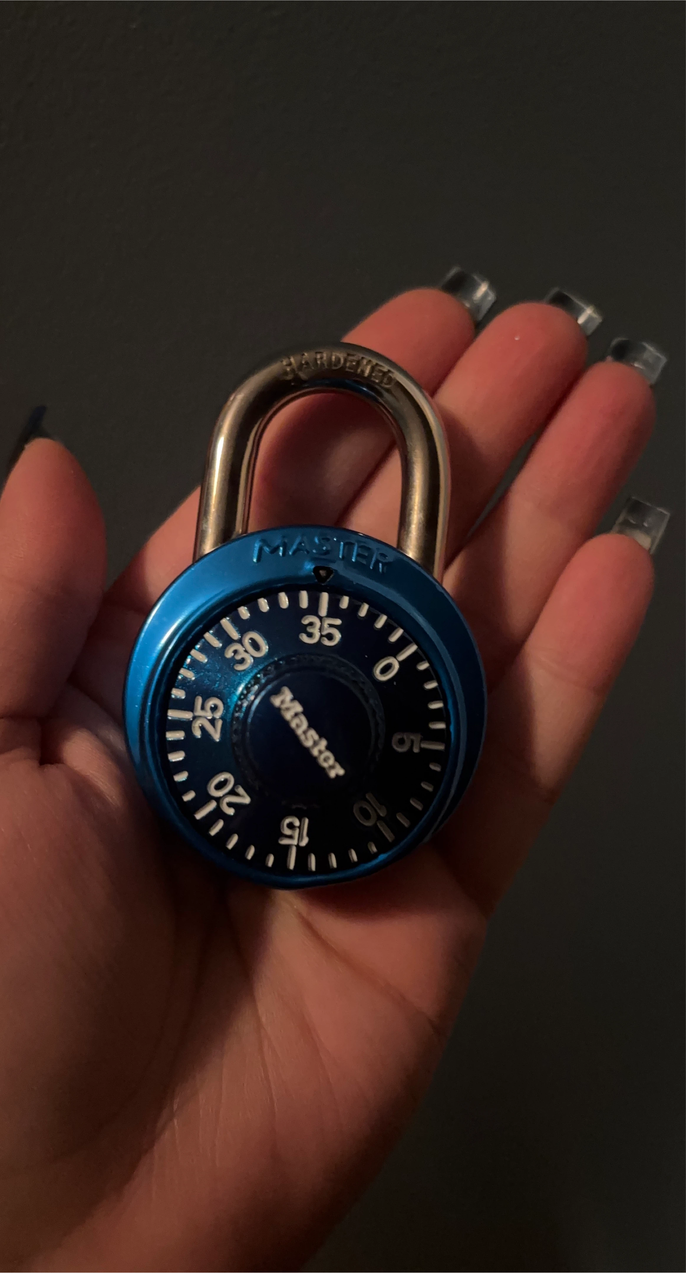 Master Lock Combination Lock 🥕