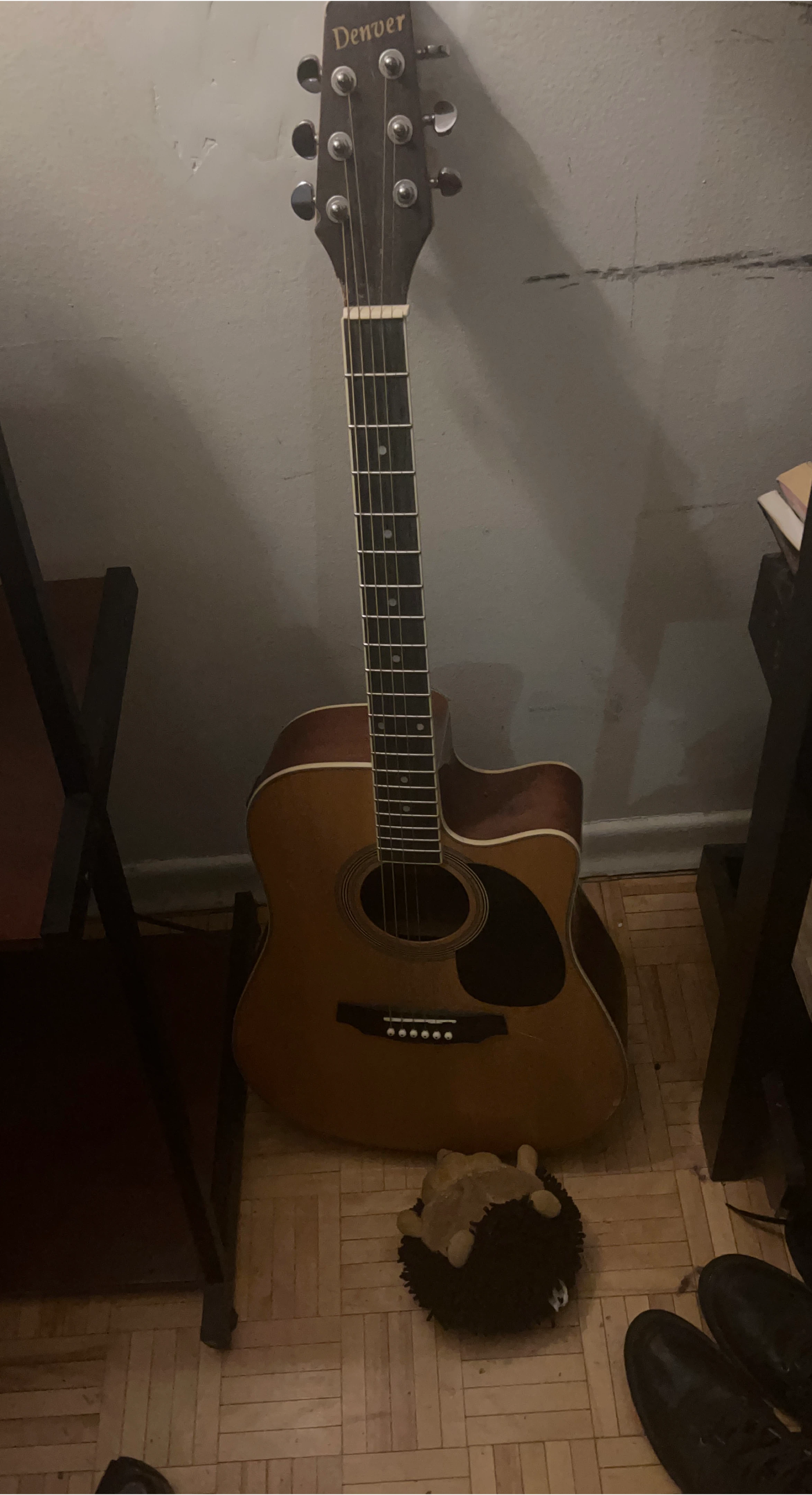 Denver Acoustic Guitar