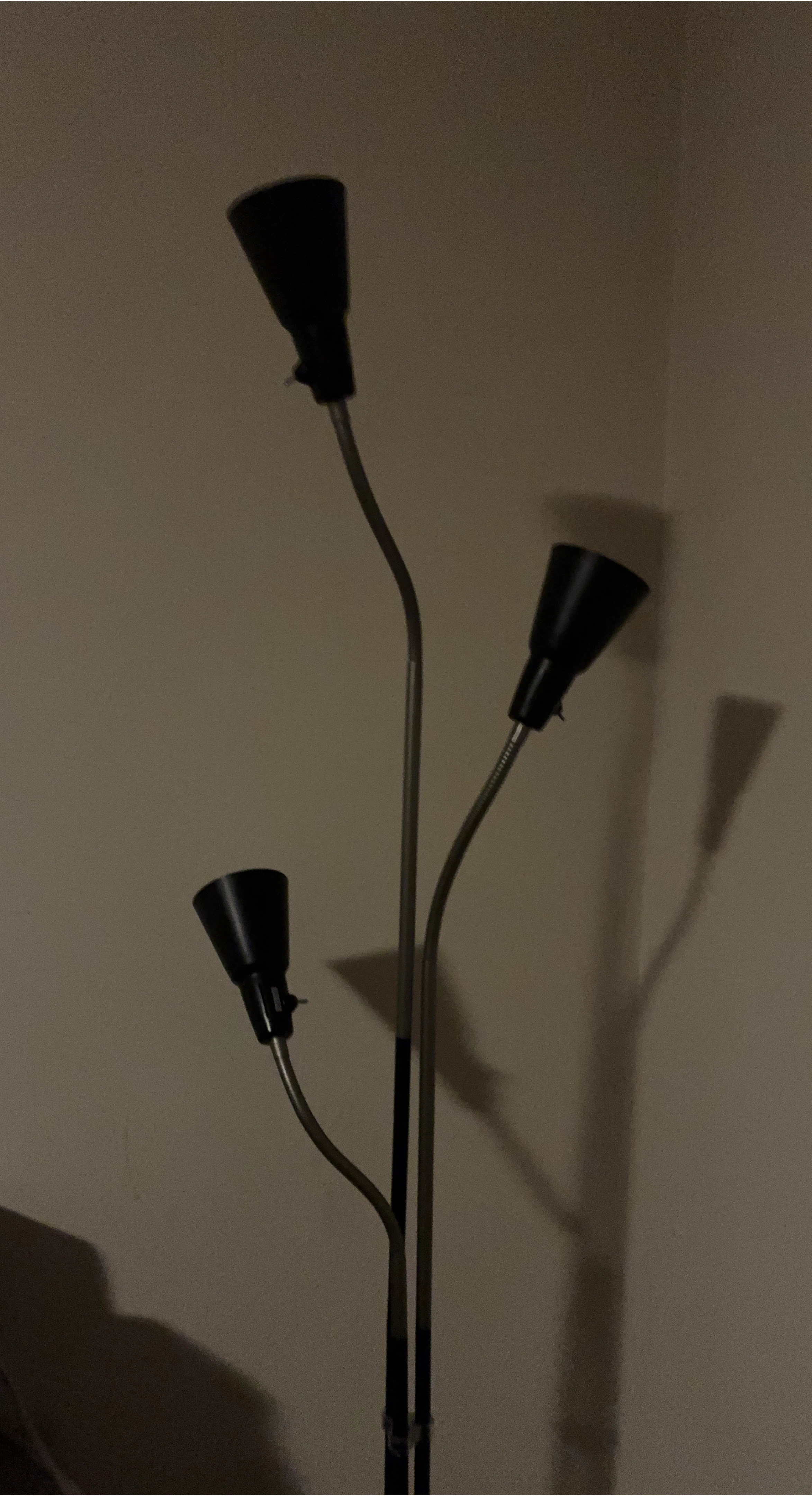 🥕Black Floor Lamp