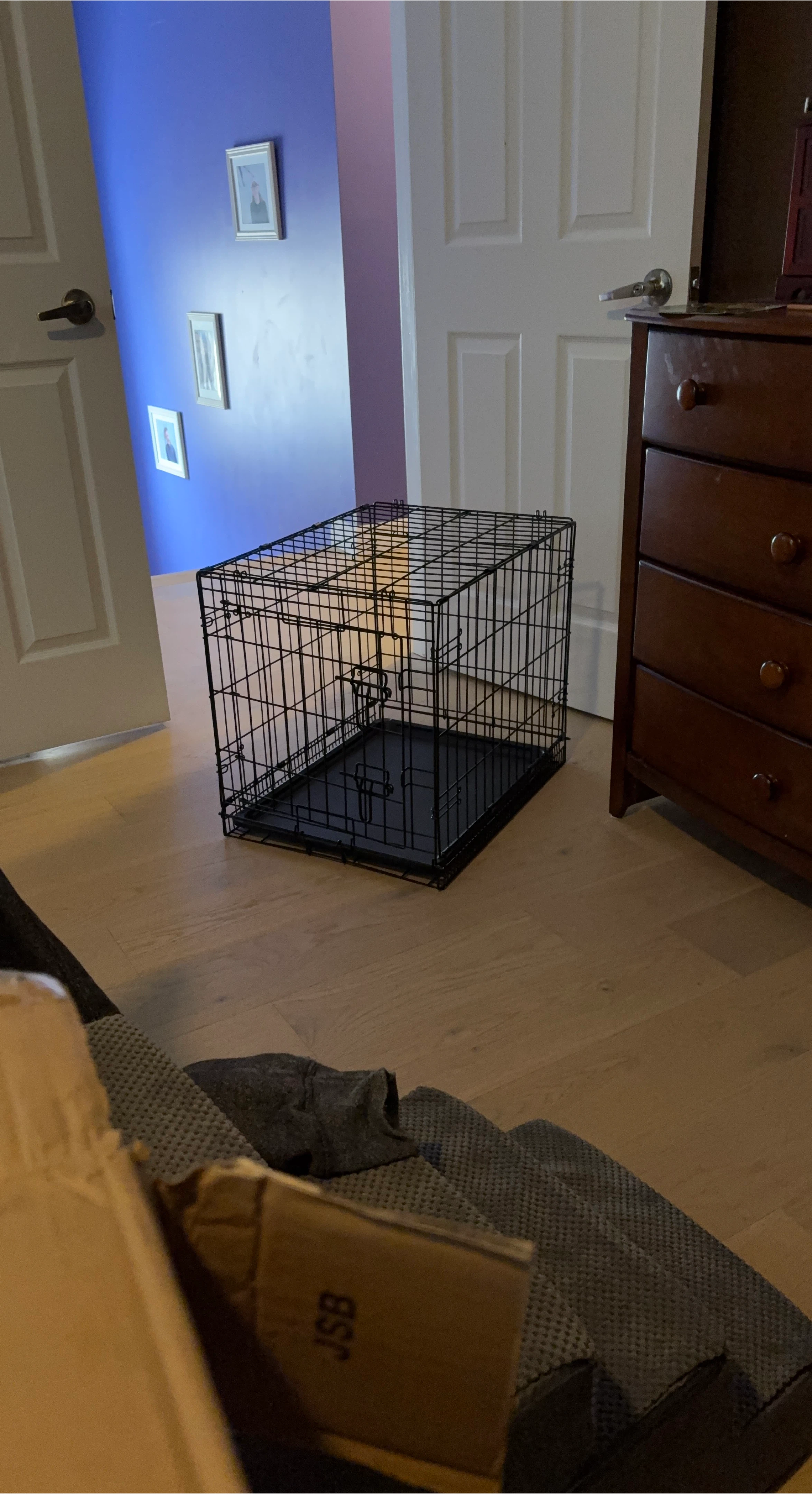 Amazon Basics Foldable Metal Wire Dog Crate 24x18x20"