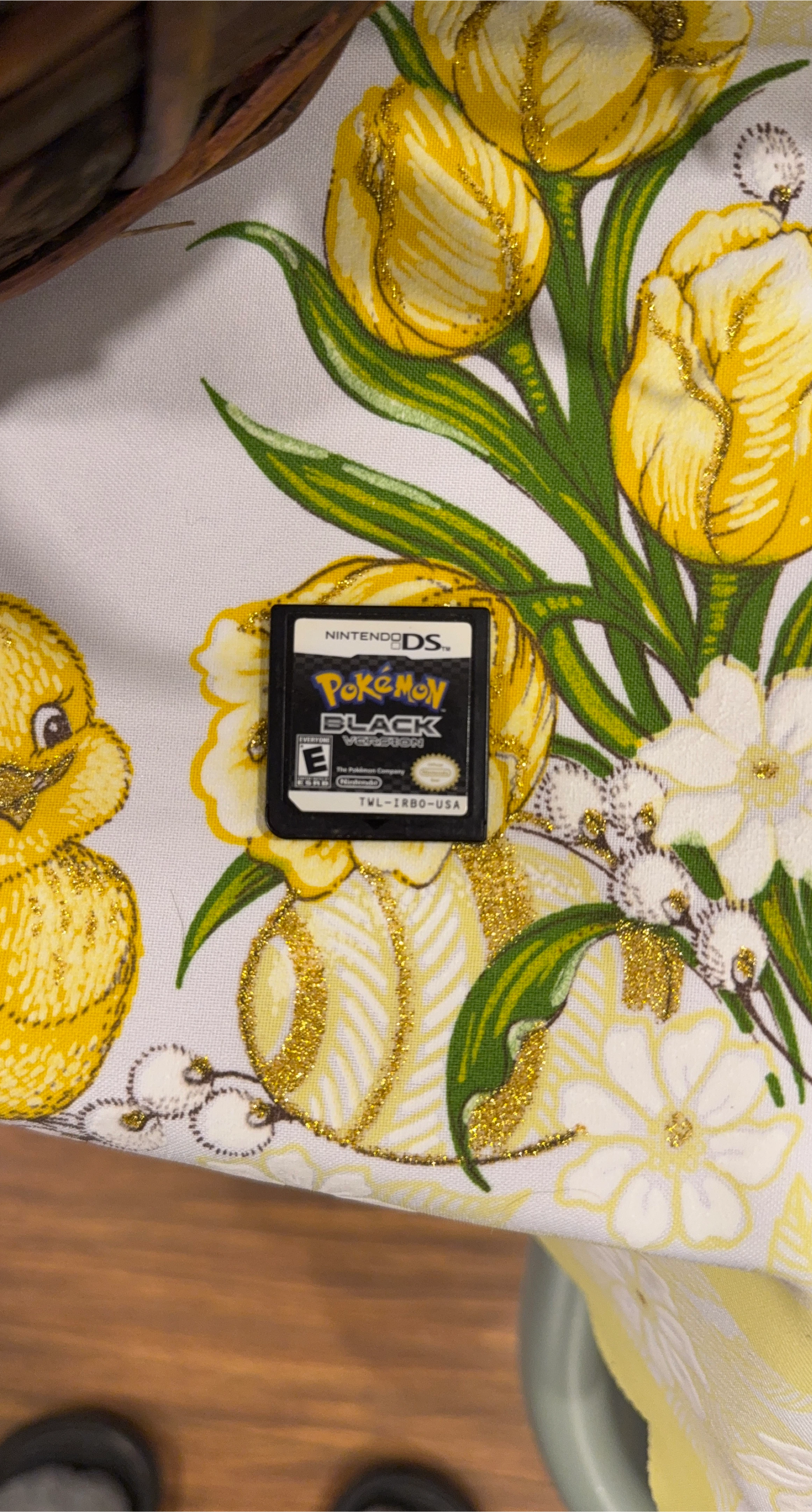 Pokémon Black Version for Nintendo DS