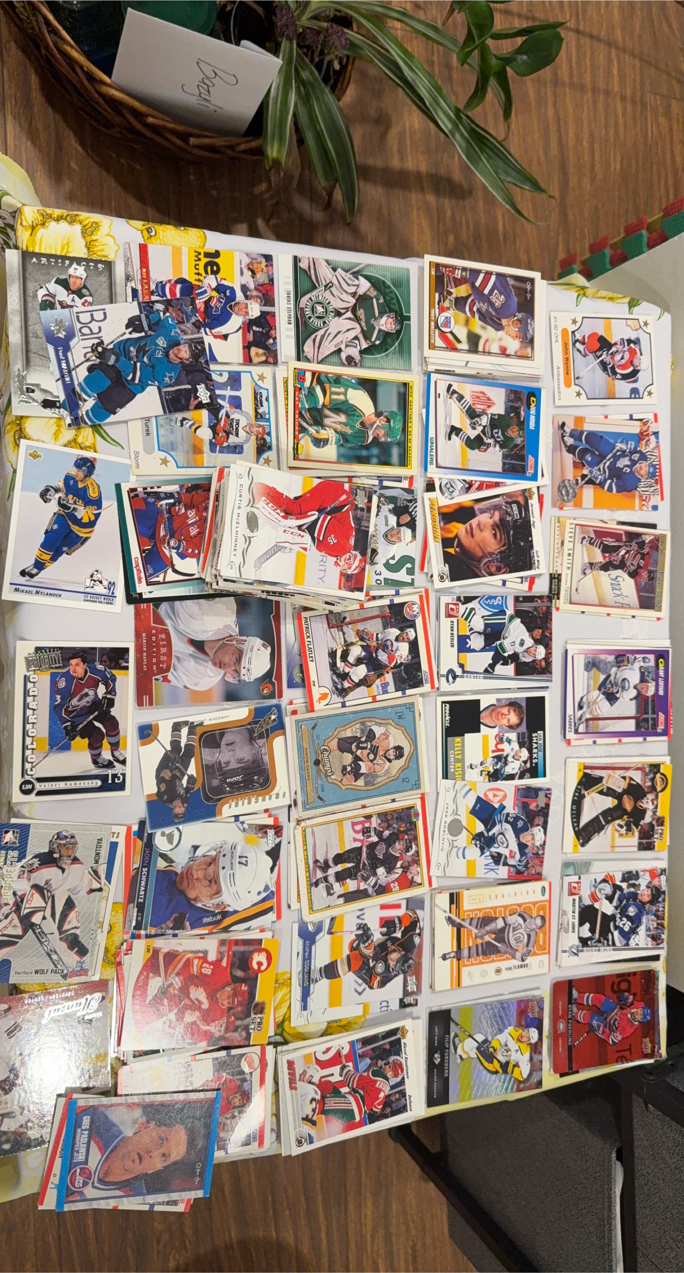 Hockey Cards Collection