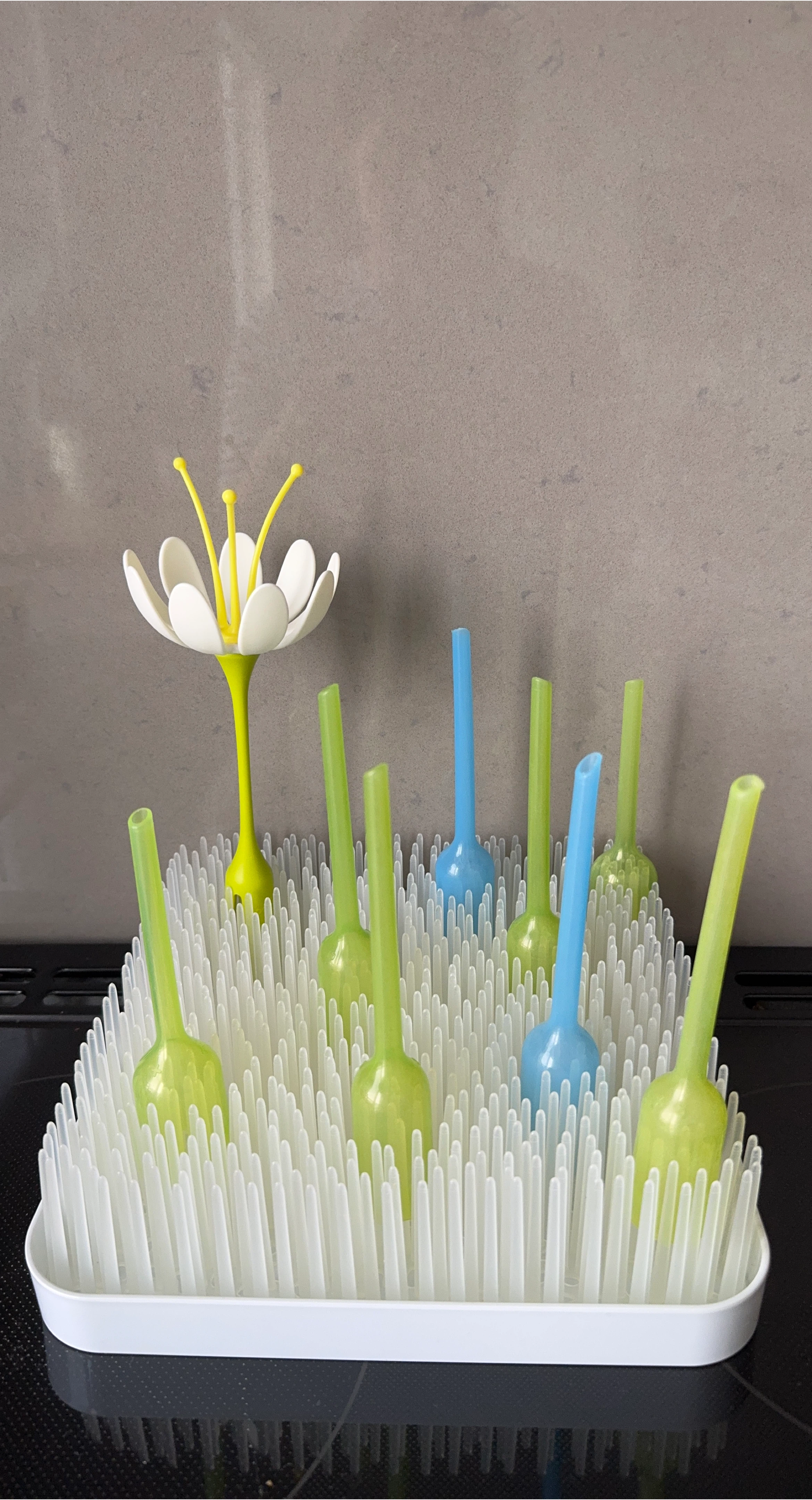 Boon Grass Countertop Drying Rack