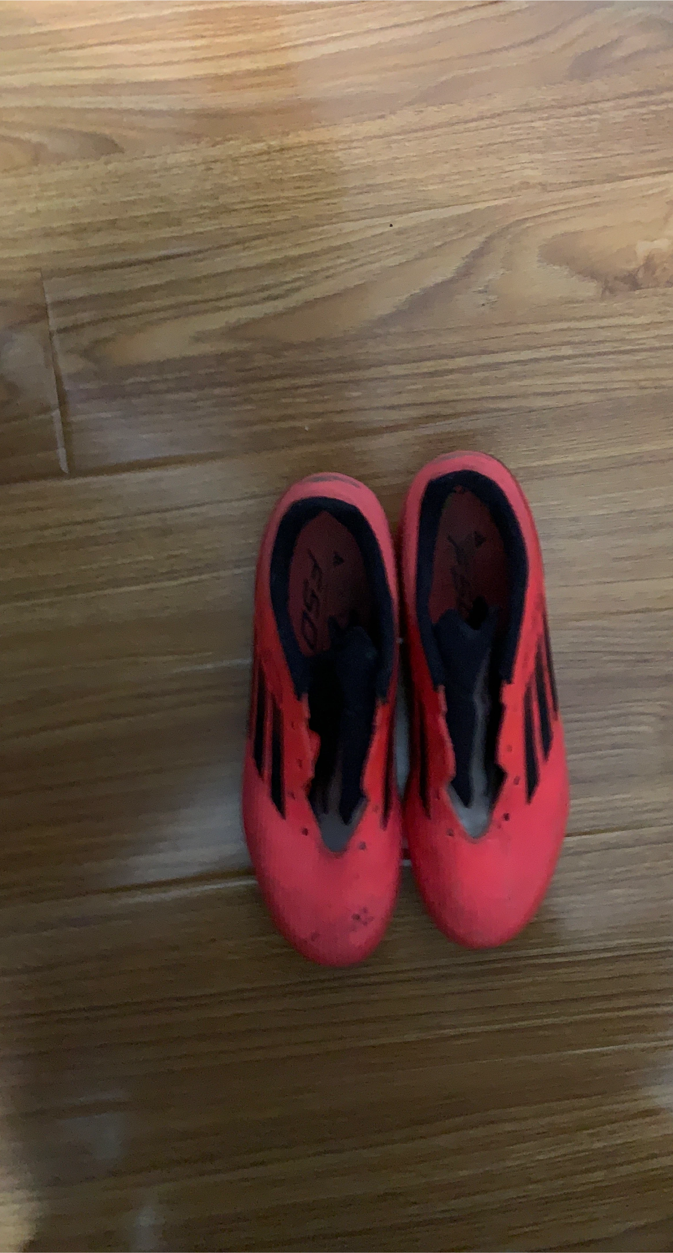 Adidas F50 Soccer Cleats
