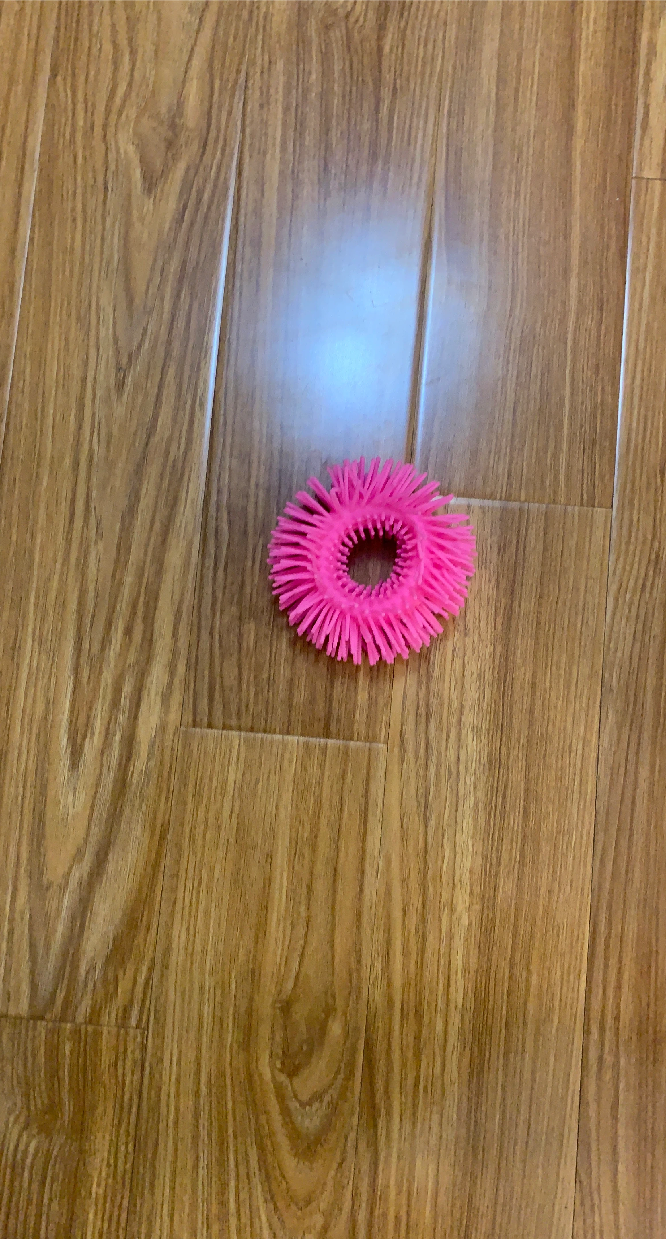 Pink Koosh Ball