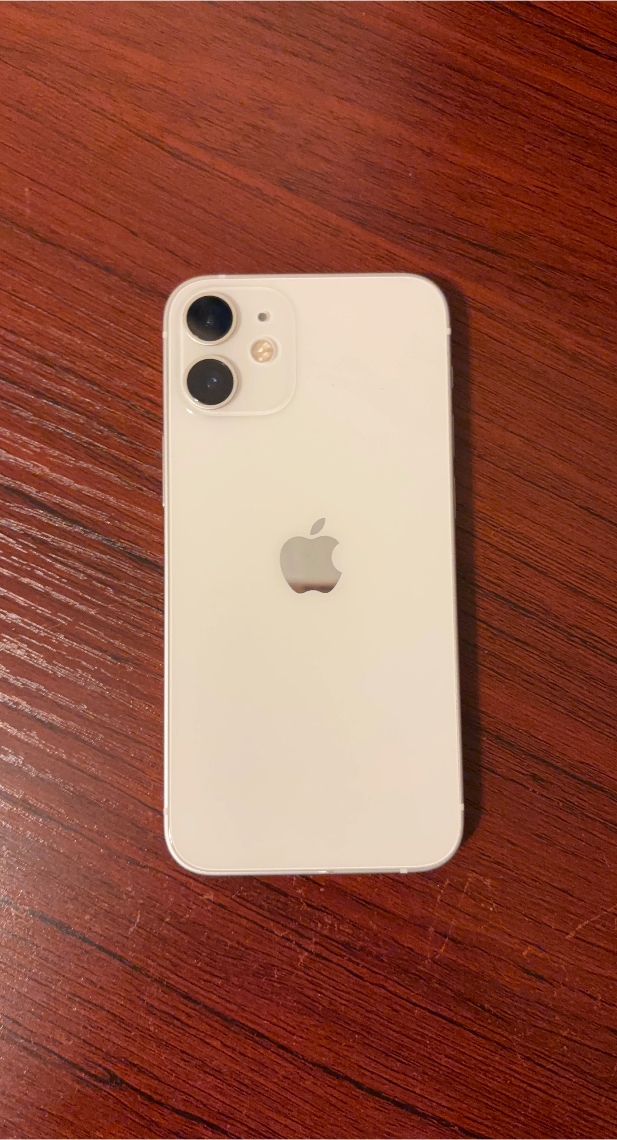 Apple iPhone 12 Mini