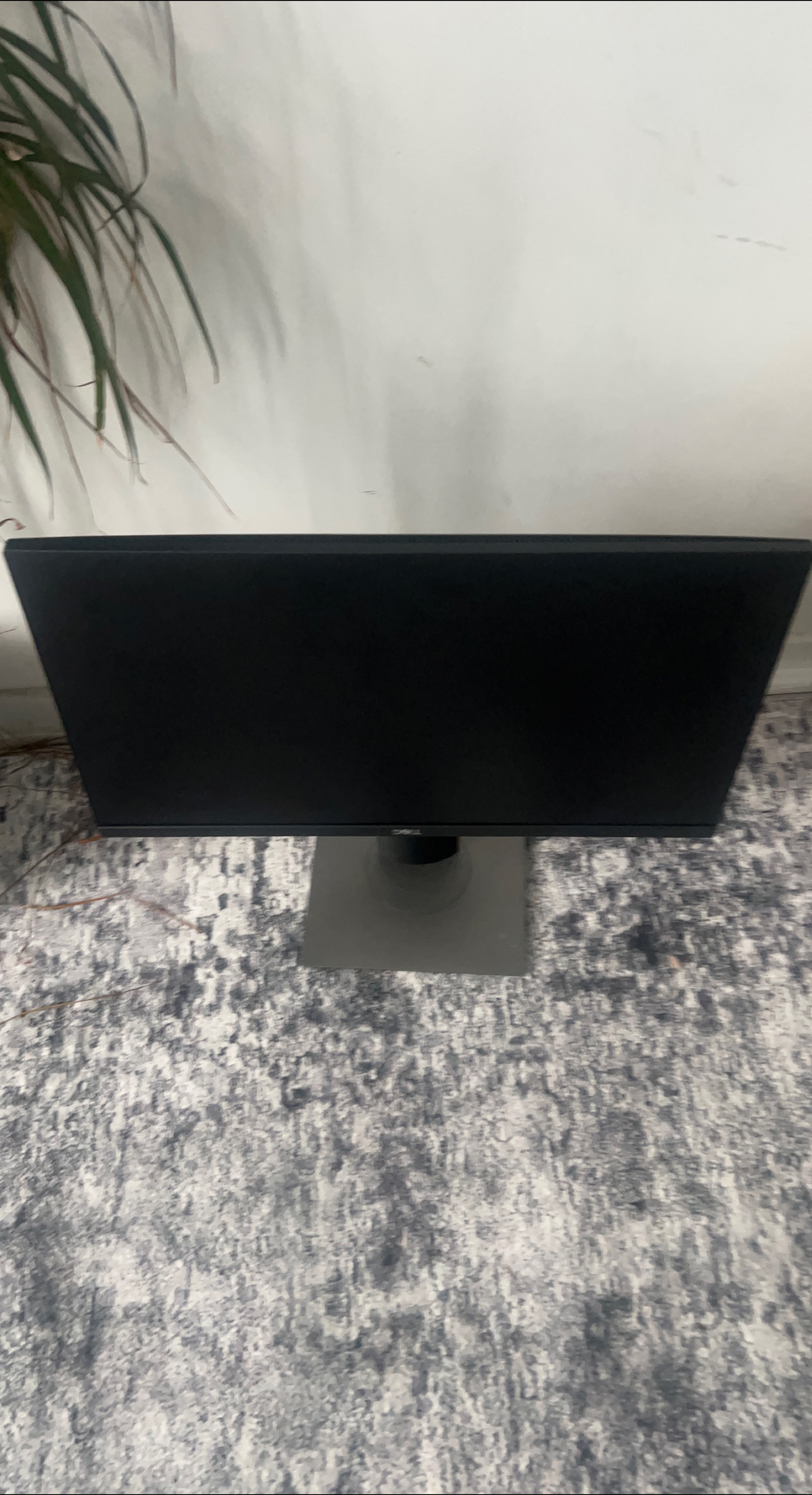 Dell Monitor P2219H