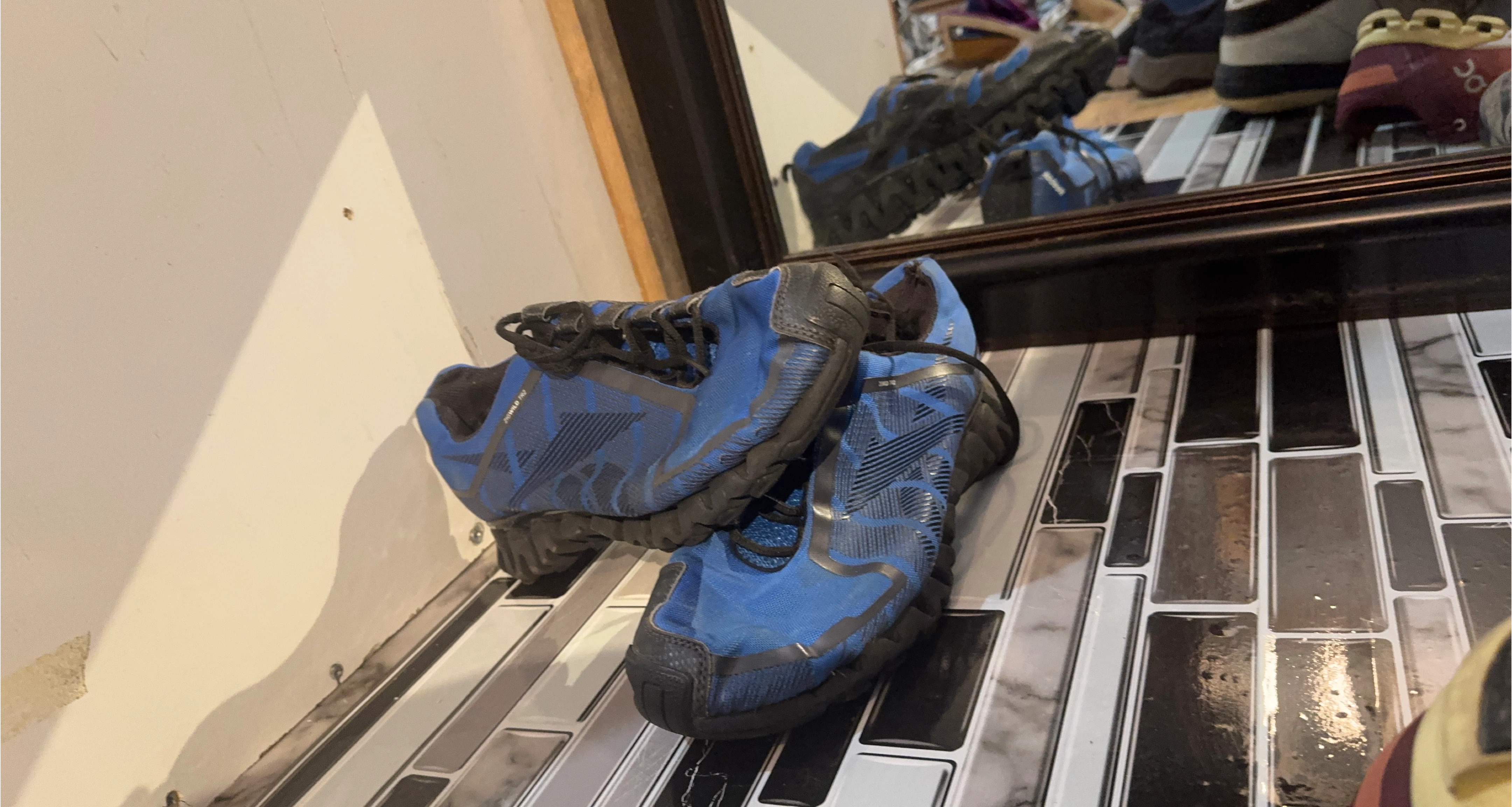 Reebok ZigWildTr2 Blue/Black Shoes