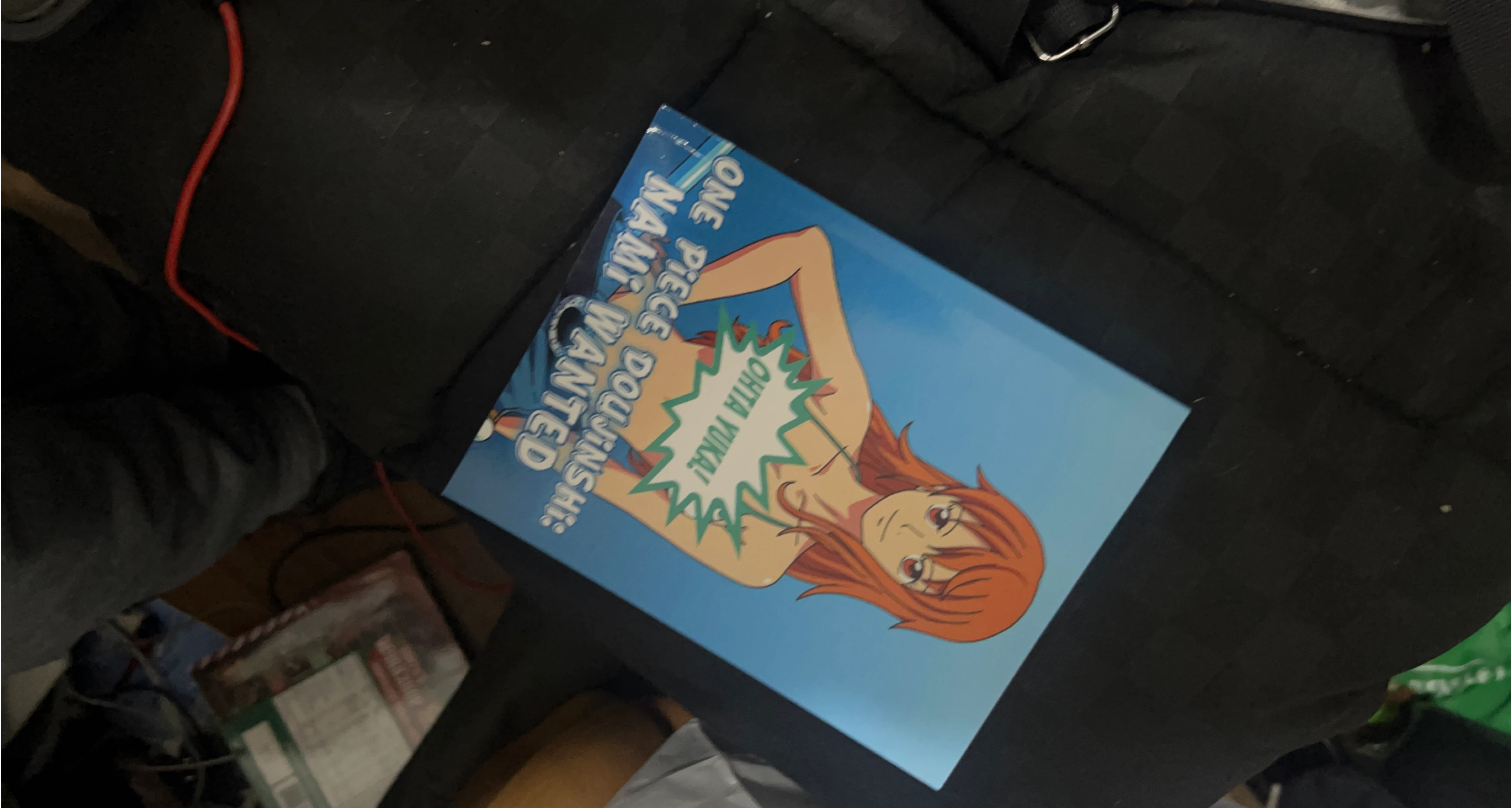 One Piece Doujinshi: Nami Wanted