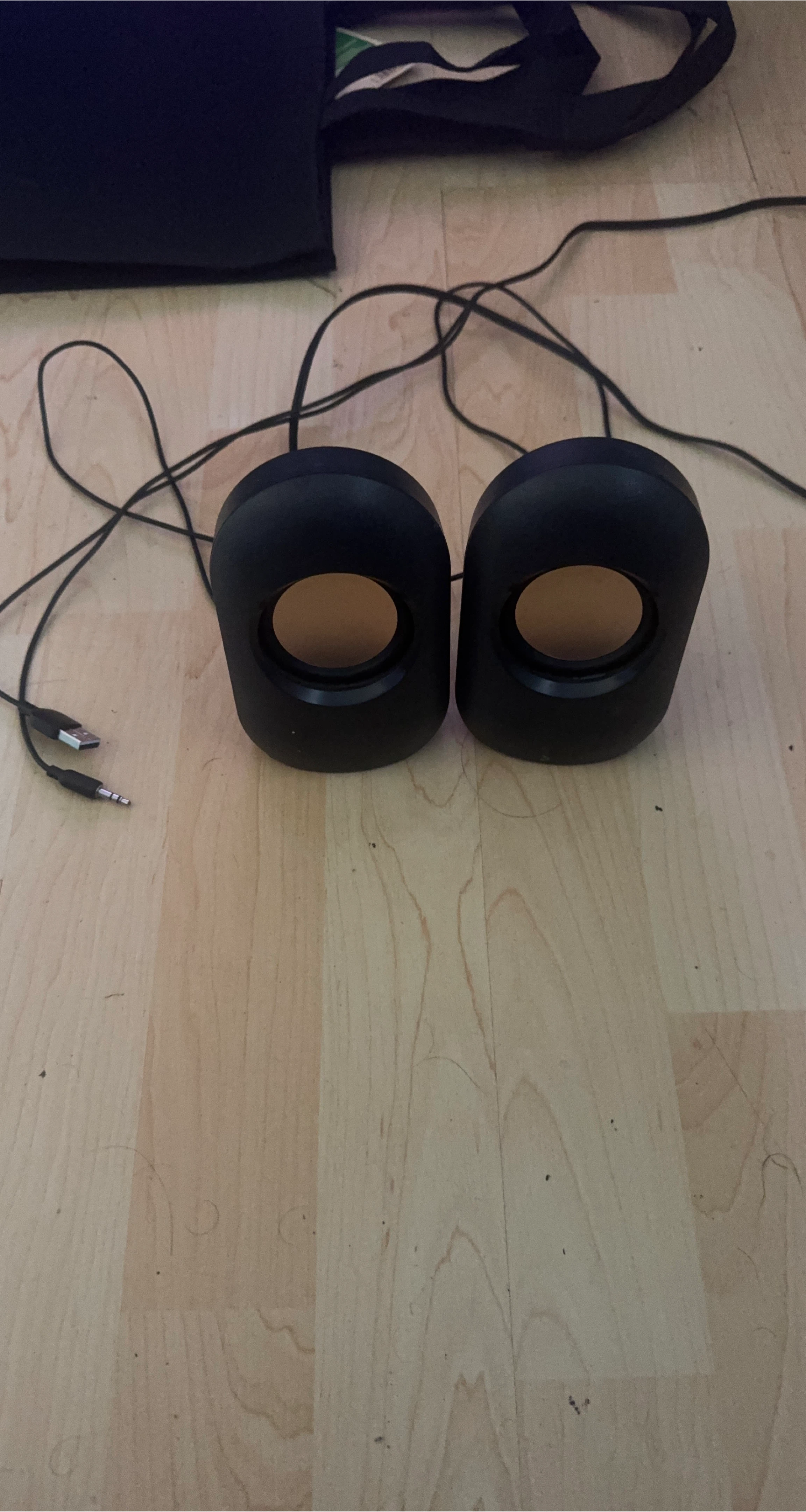 Black Computer Speakers