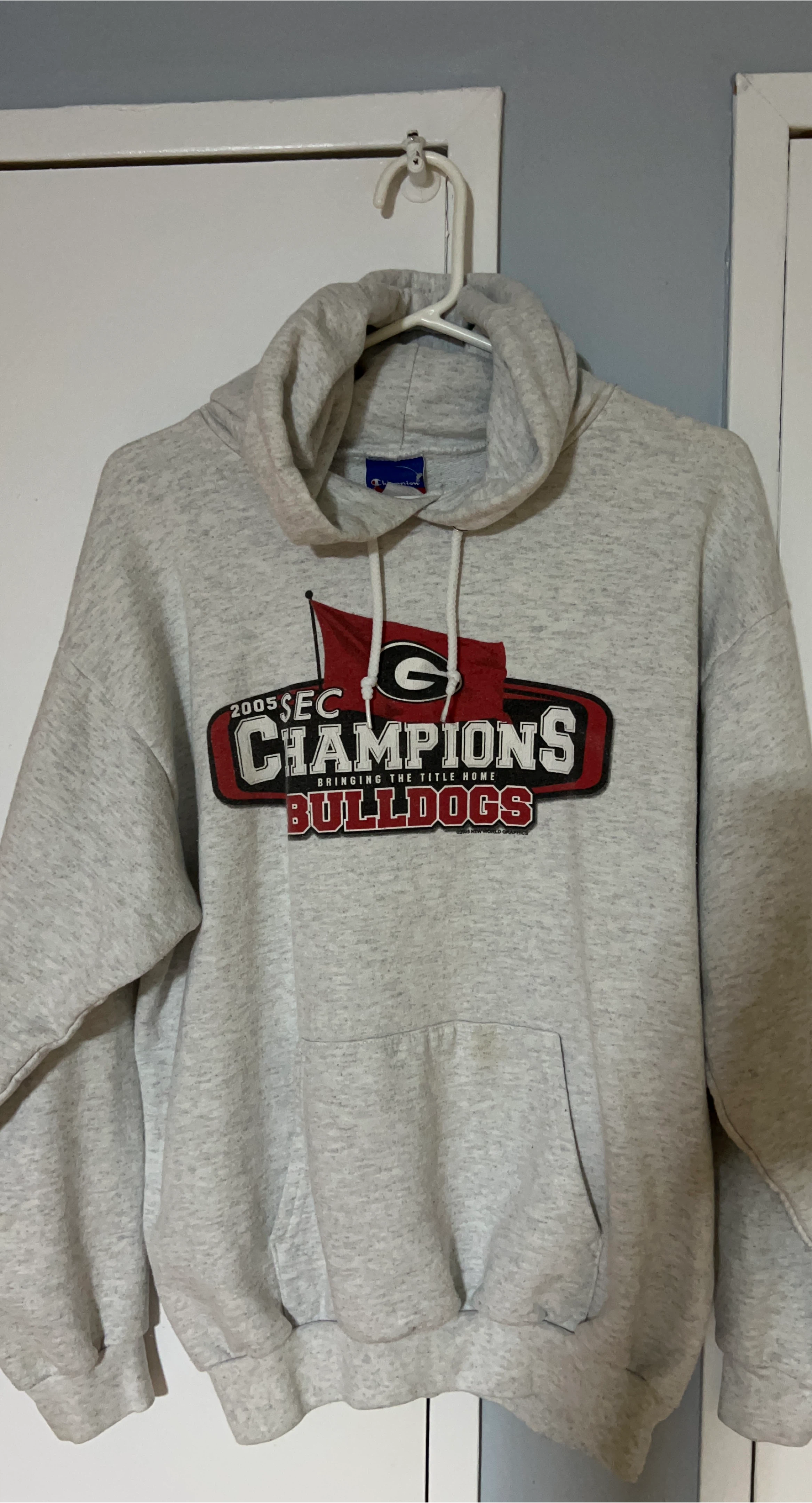 Champion Georgia Bulldogs Hoodie