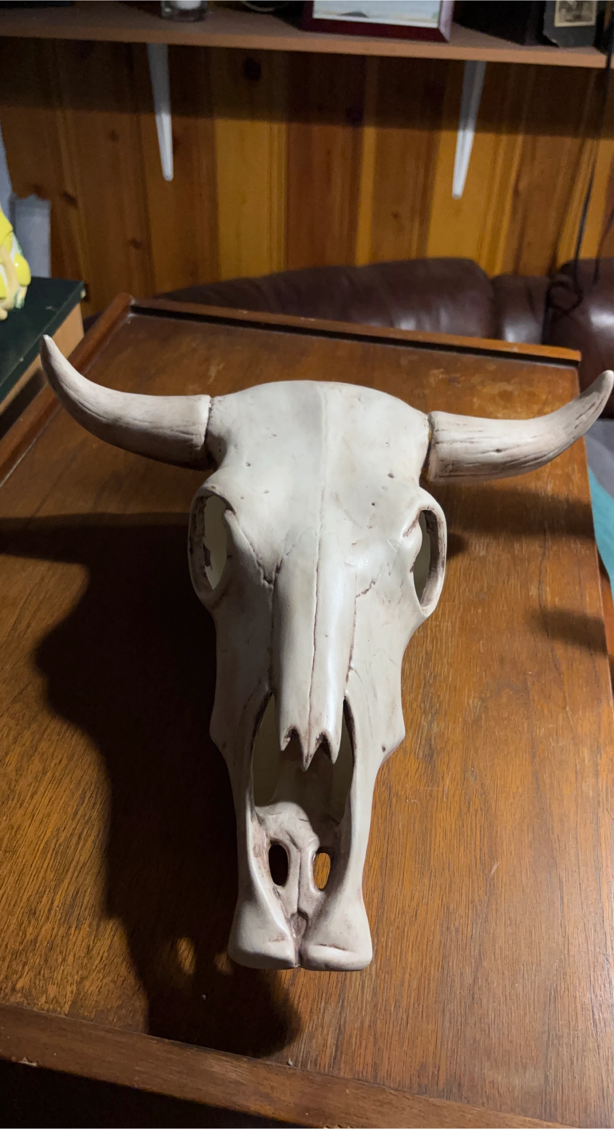 Cow Skull Decoration