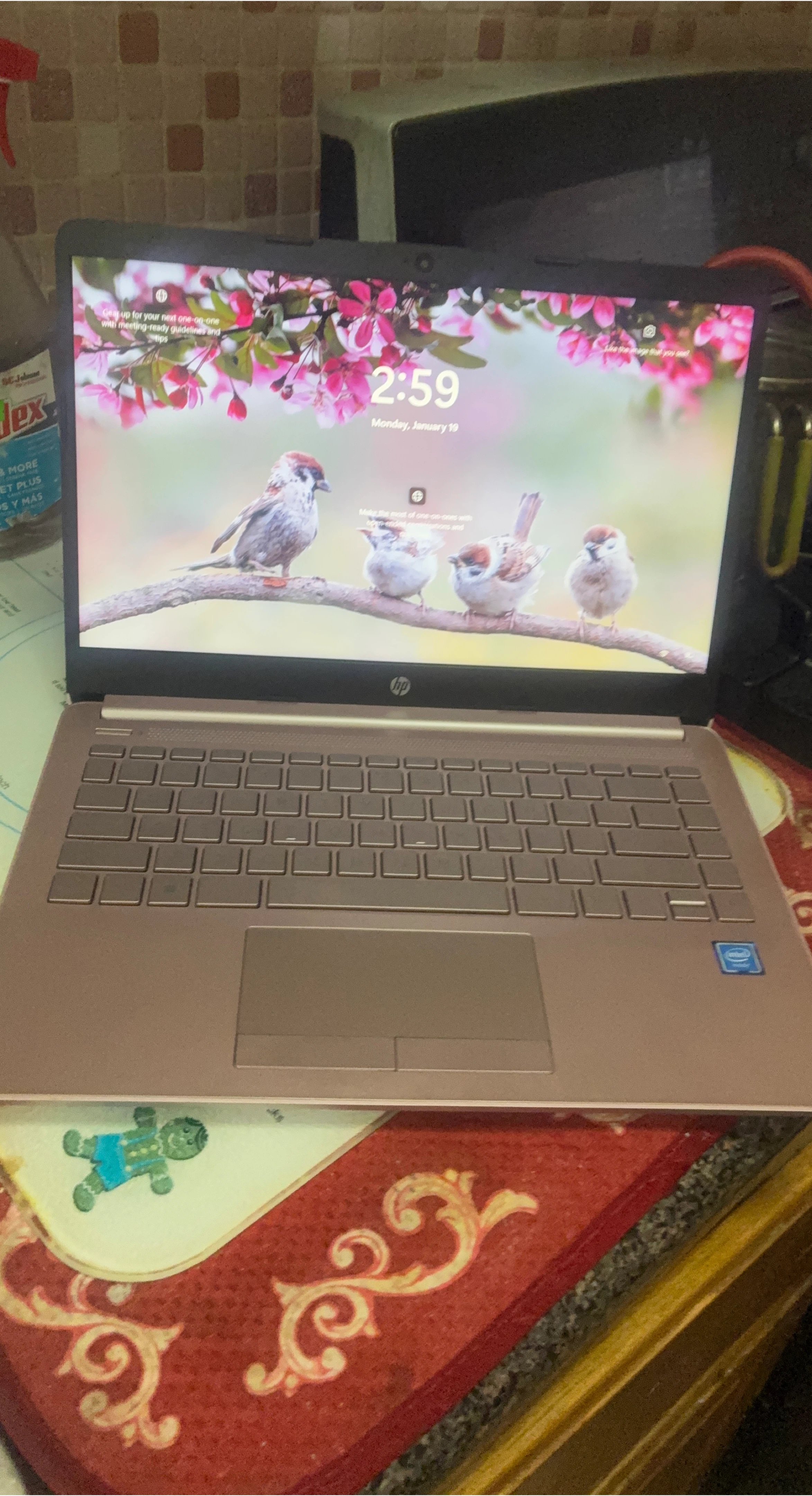 HP Laptop